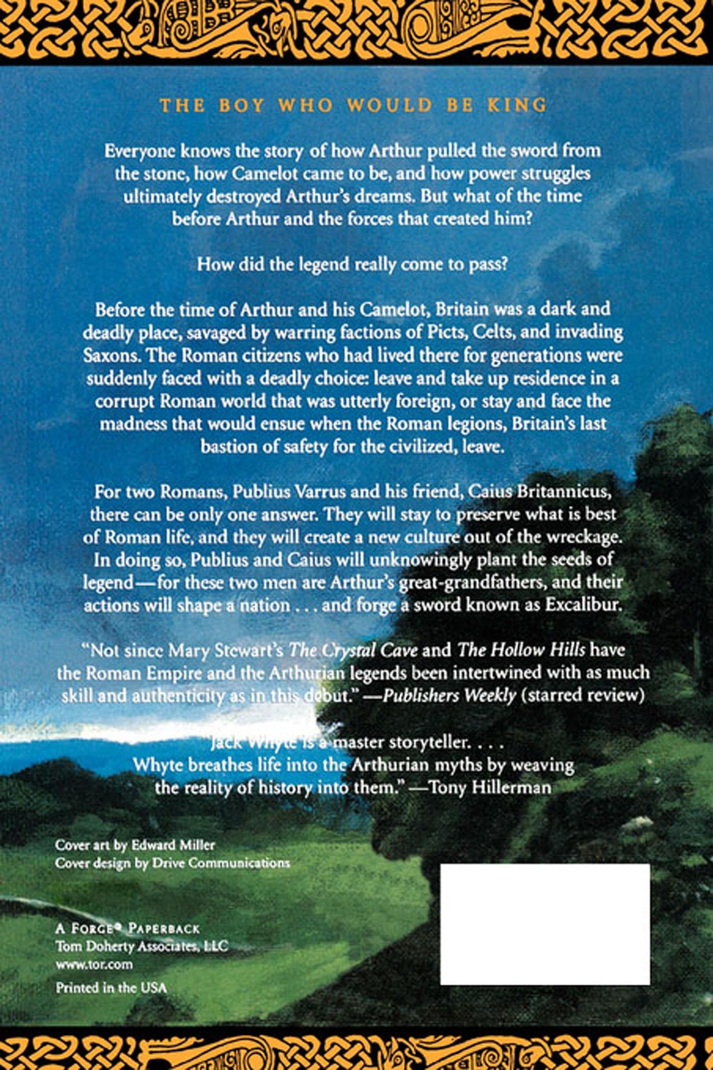 Rückseitencover The Skystone