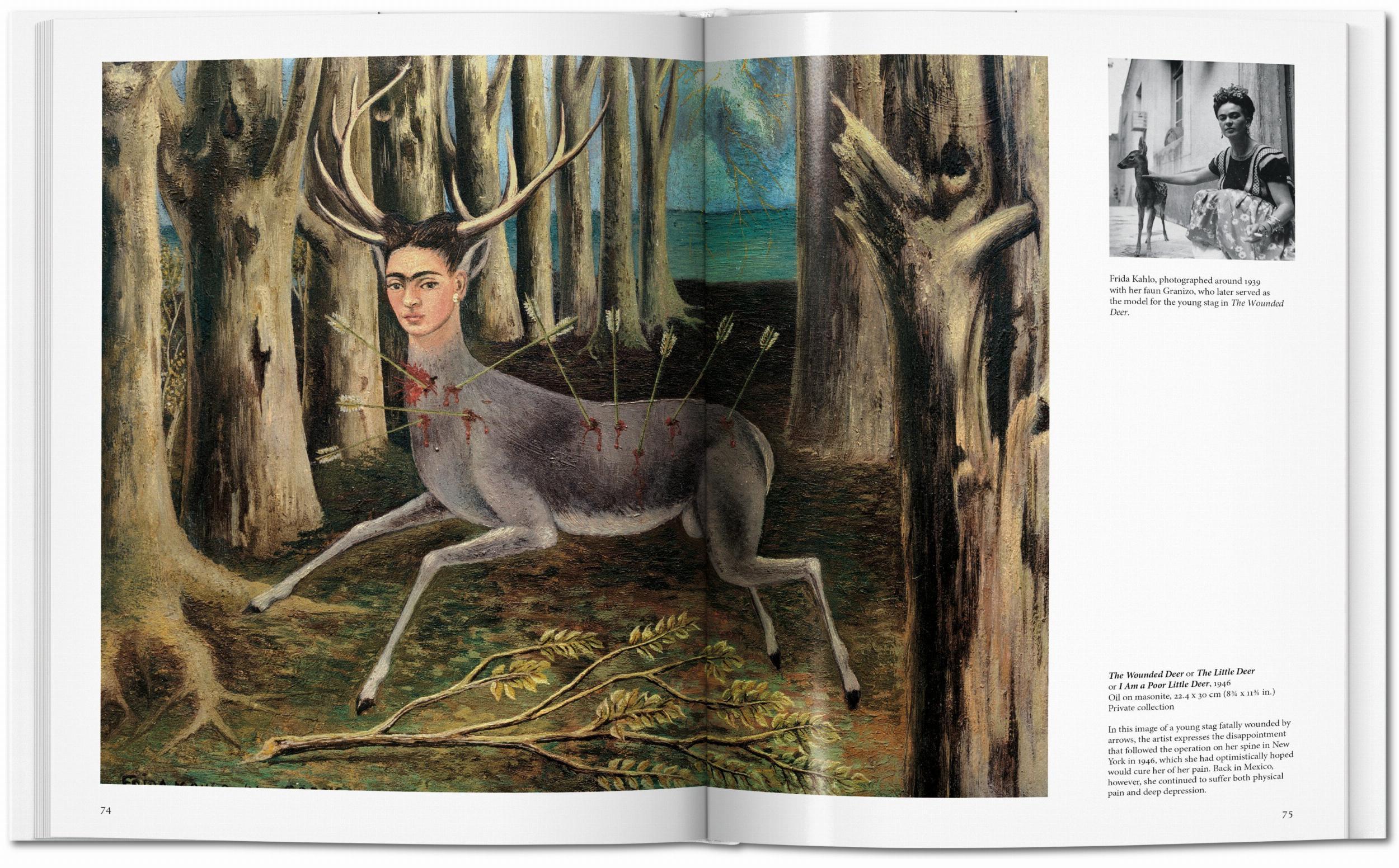 Beispielinhalt (Bild) Kahlo