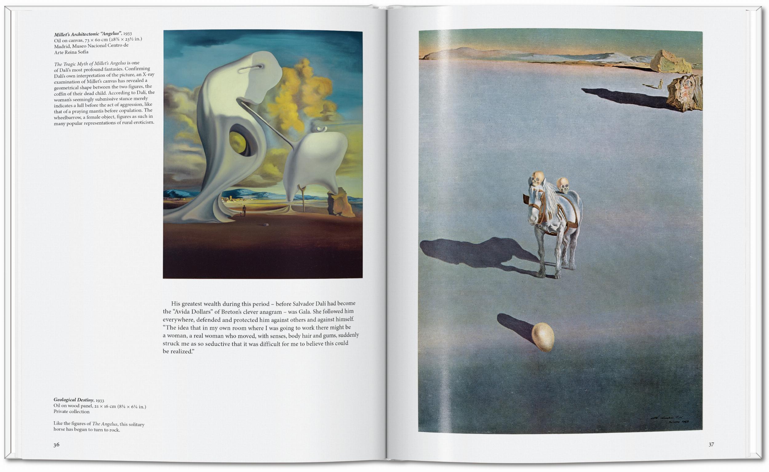 Beispielinhalt (Bild) Dalí
