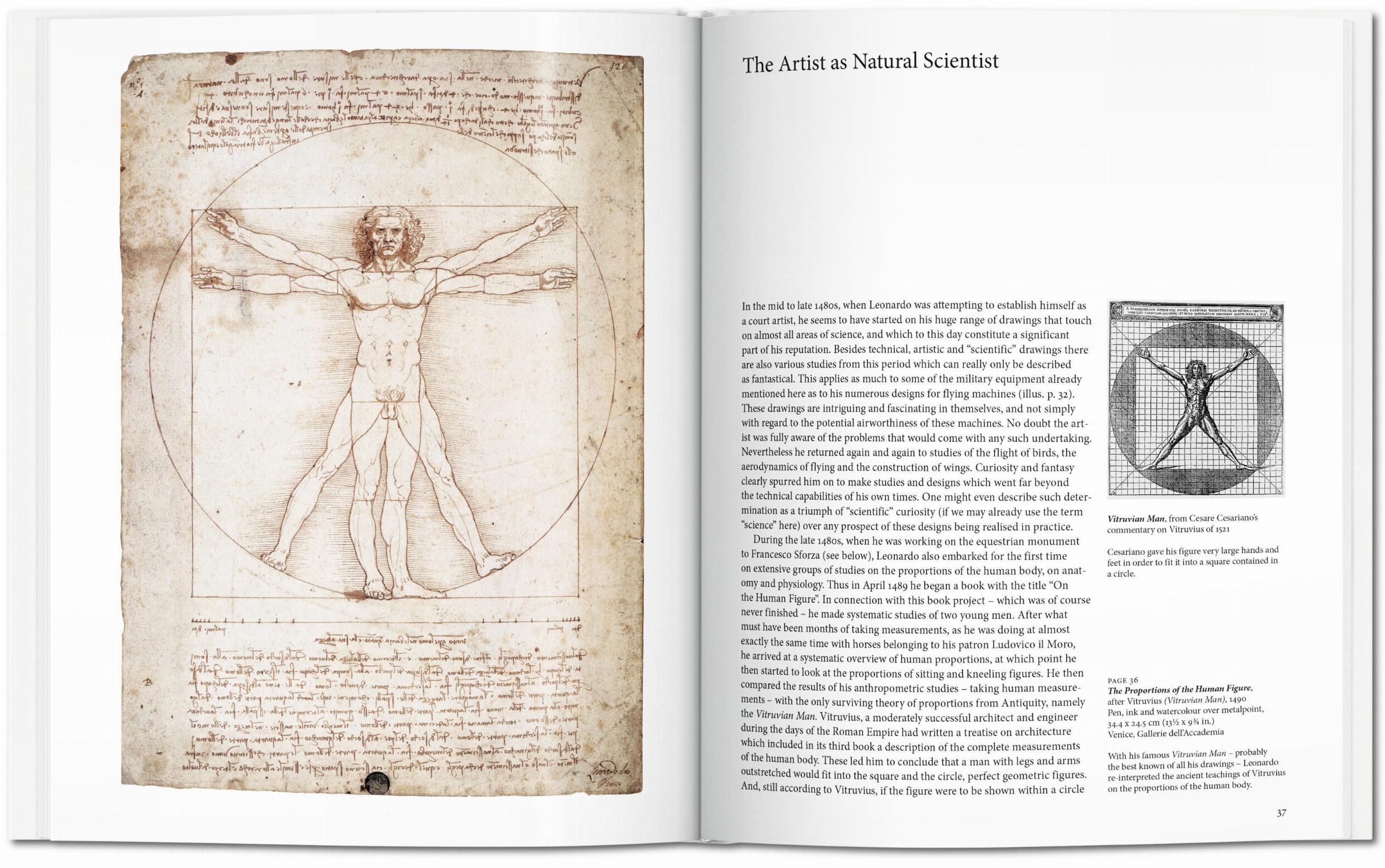 Beispielinhalt (Bild) Leonardo