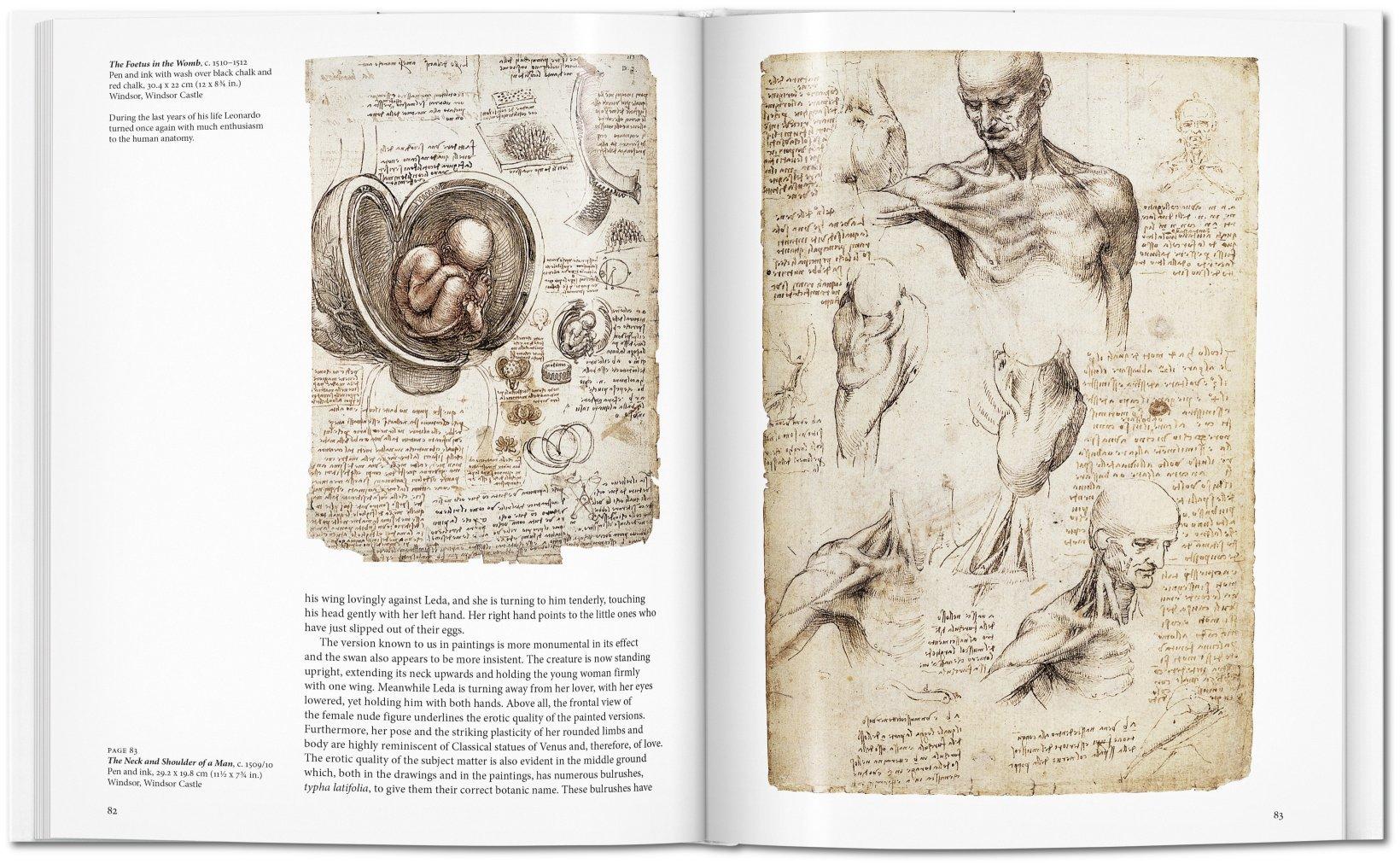 Beispielinhalt (Bild) Leonardo