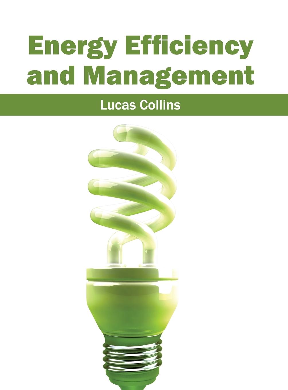 Vorderes Coverbild Energy Efficiency and Management