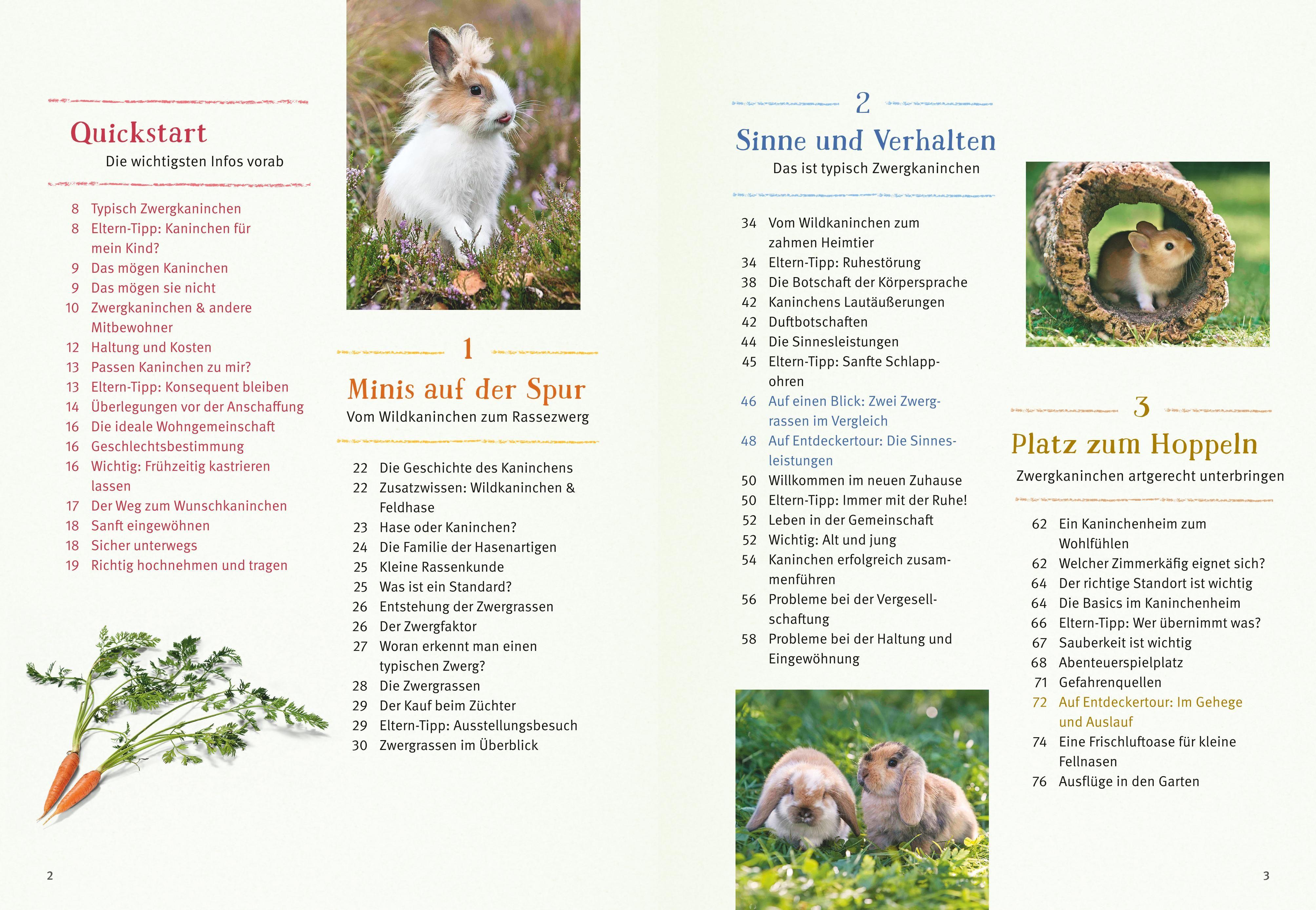 Beispielinhalt (Bild) Liebenswerte Zwergkaninchen