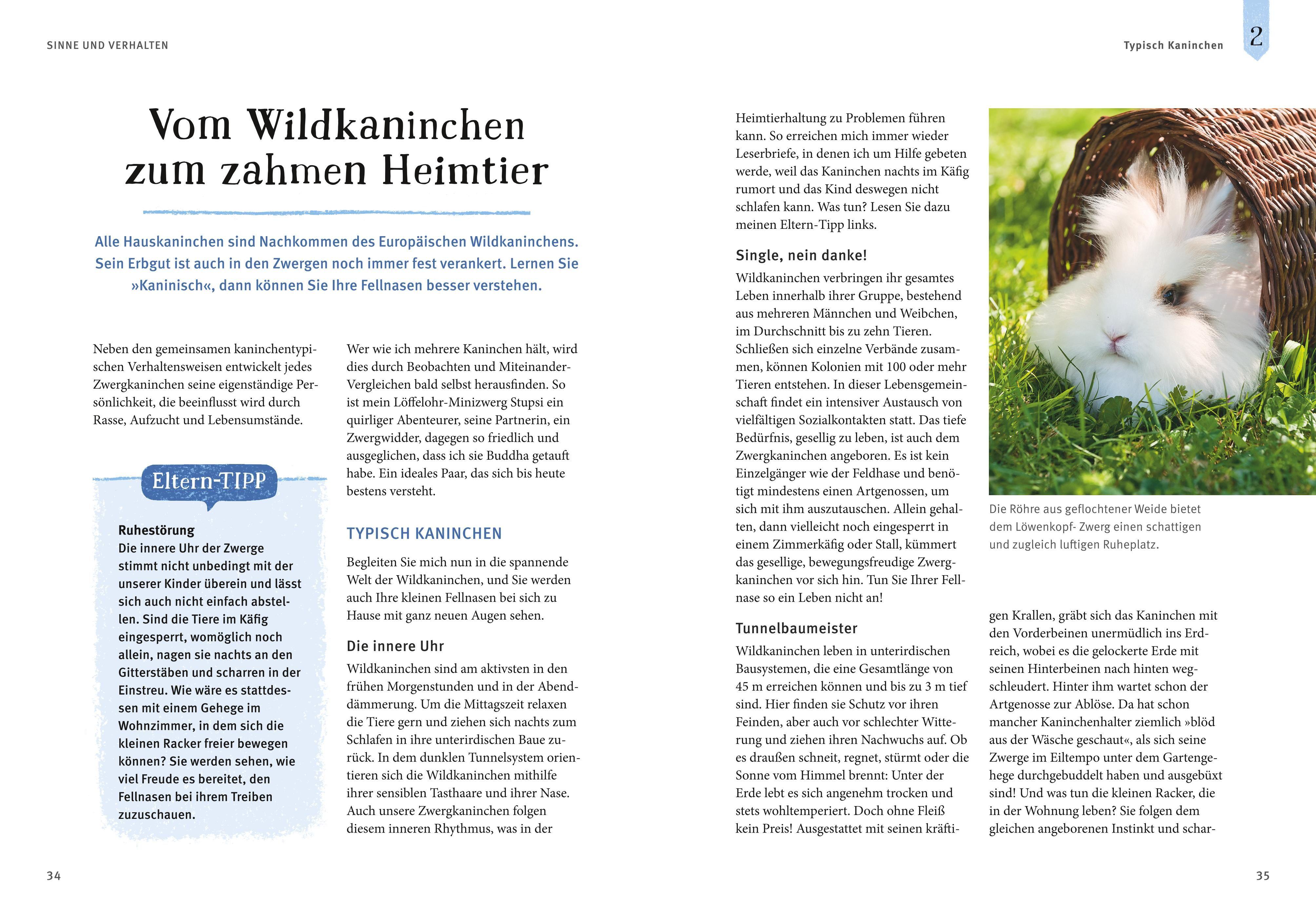 Beispielinhalt (Bild) Liebenswerte Zwergkaninchen