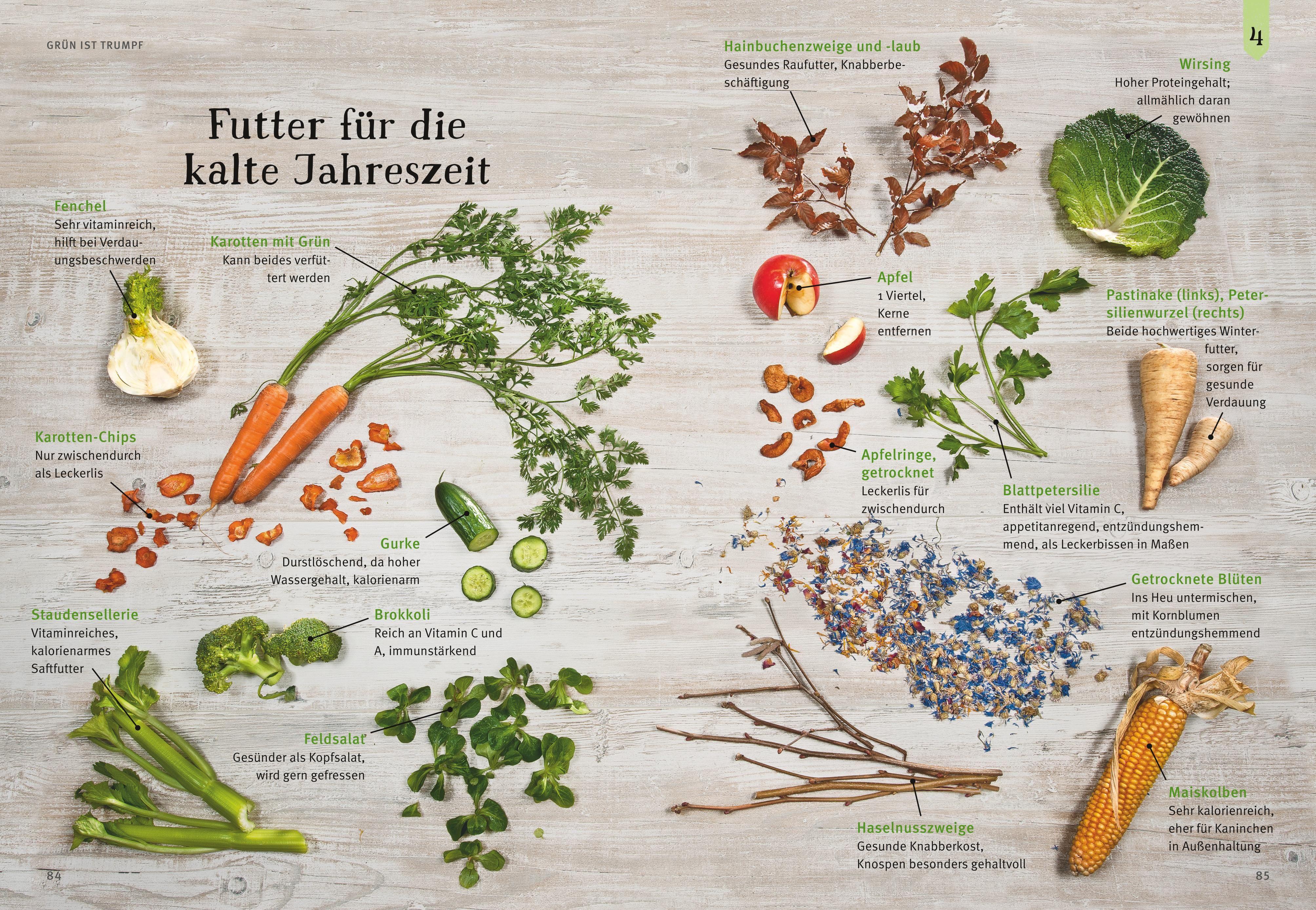 Beispielinhalt (Bild) Liebenswerte Zwergkaninchen