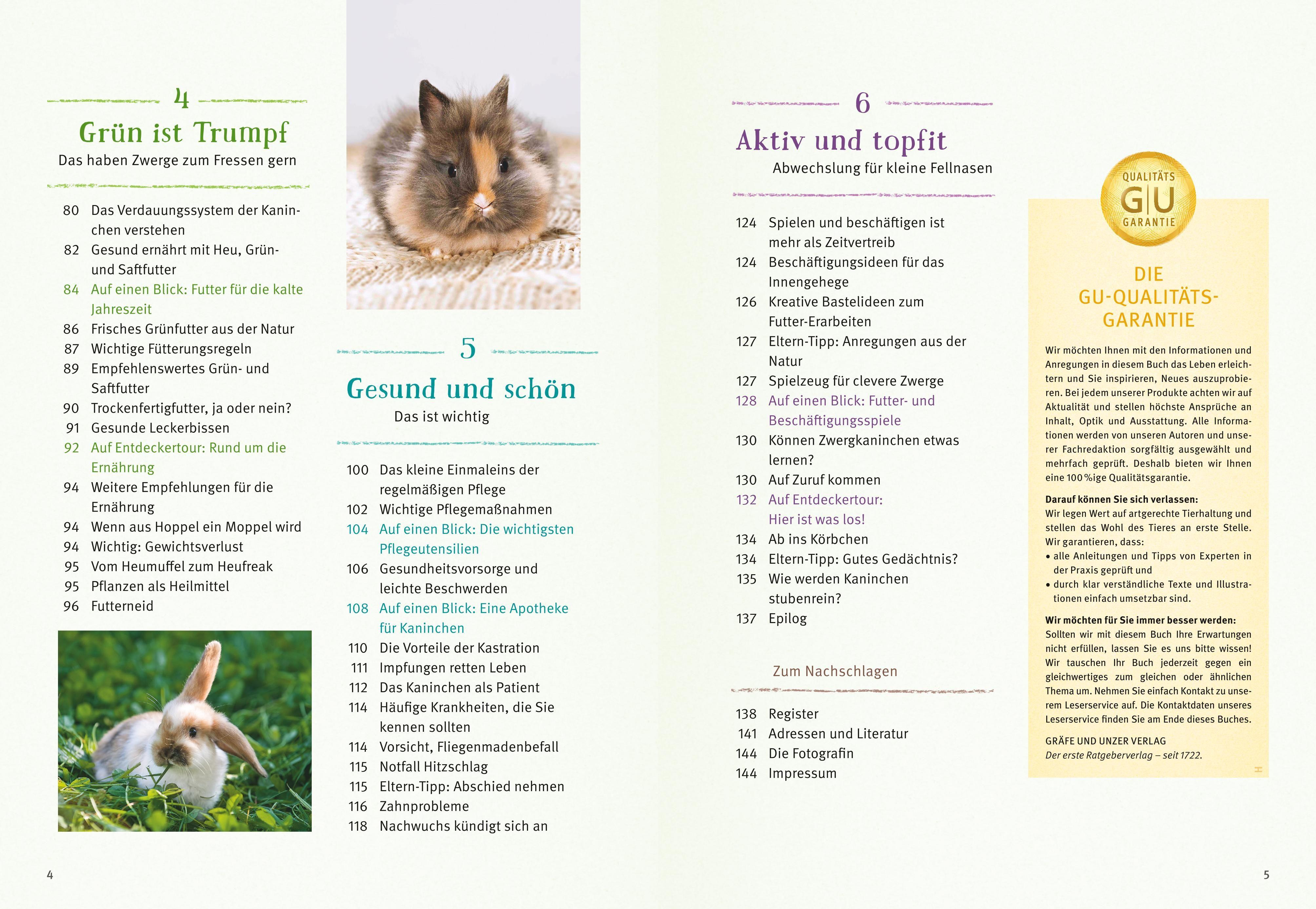 Beispielinhalt (Bild) Liebenswerte Zwergkaninchen