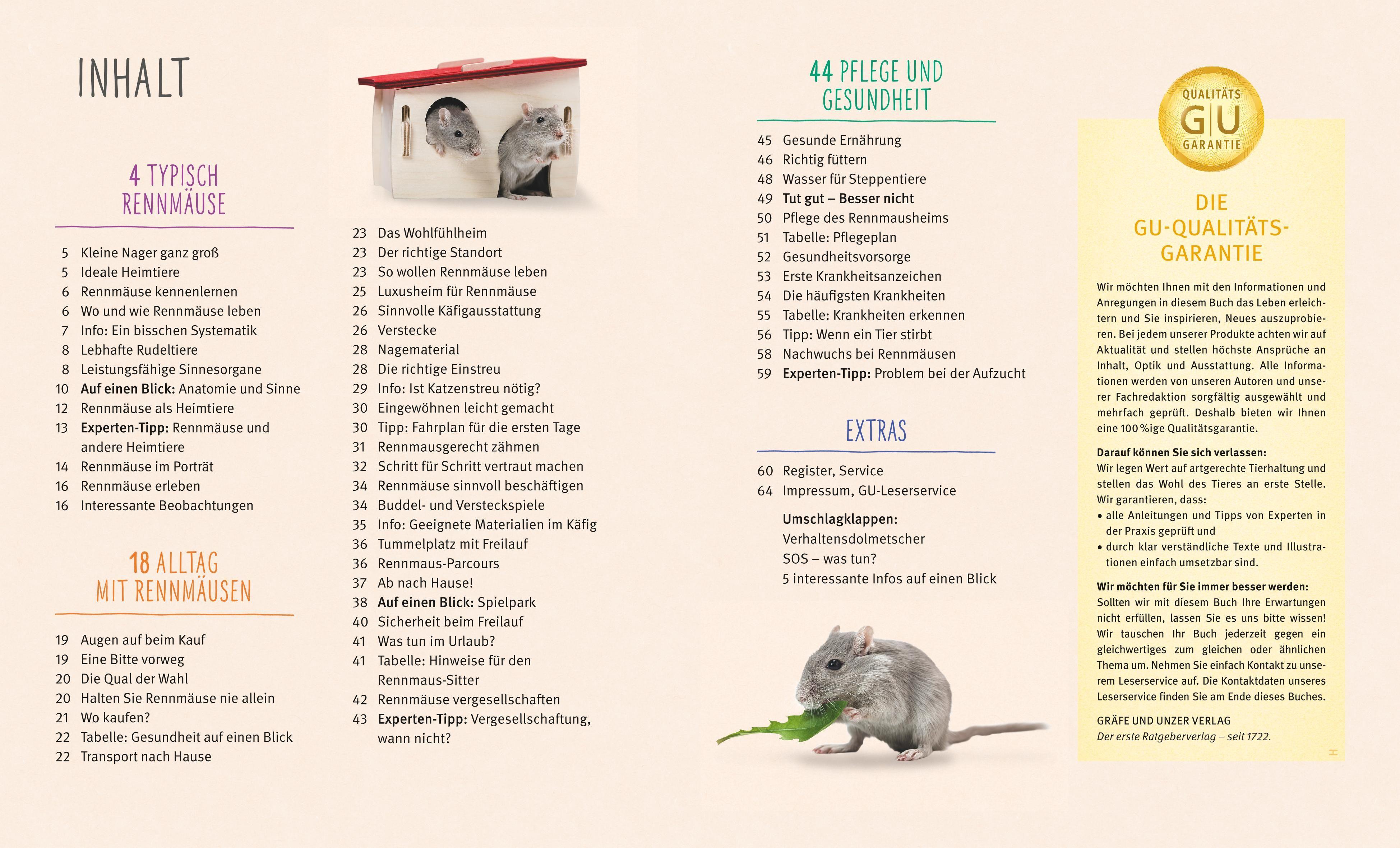 Beispielinhalt (Bild) Rennmäuse