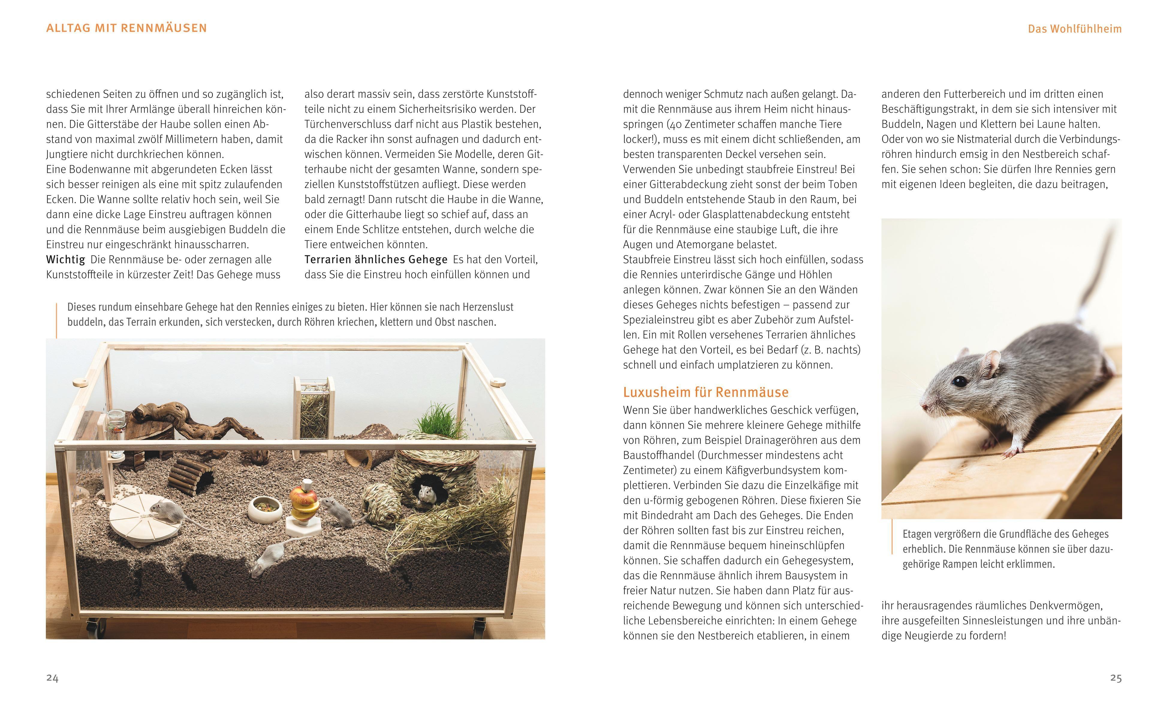 Beispielinhalt (Bild) Rennmäuse