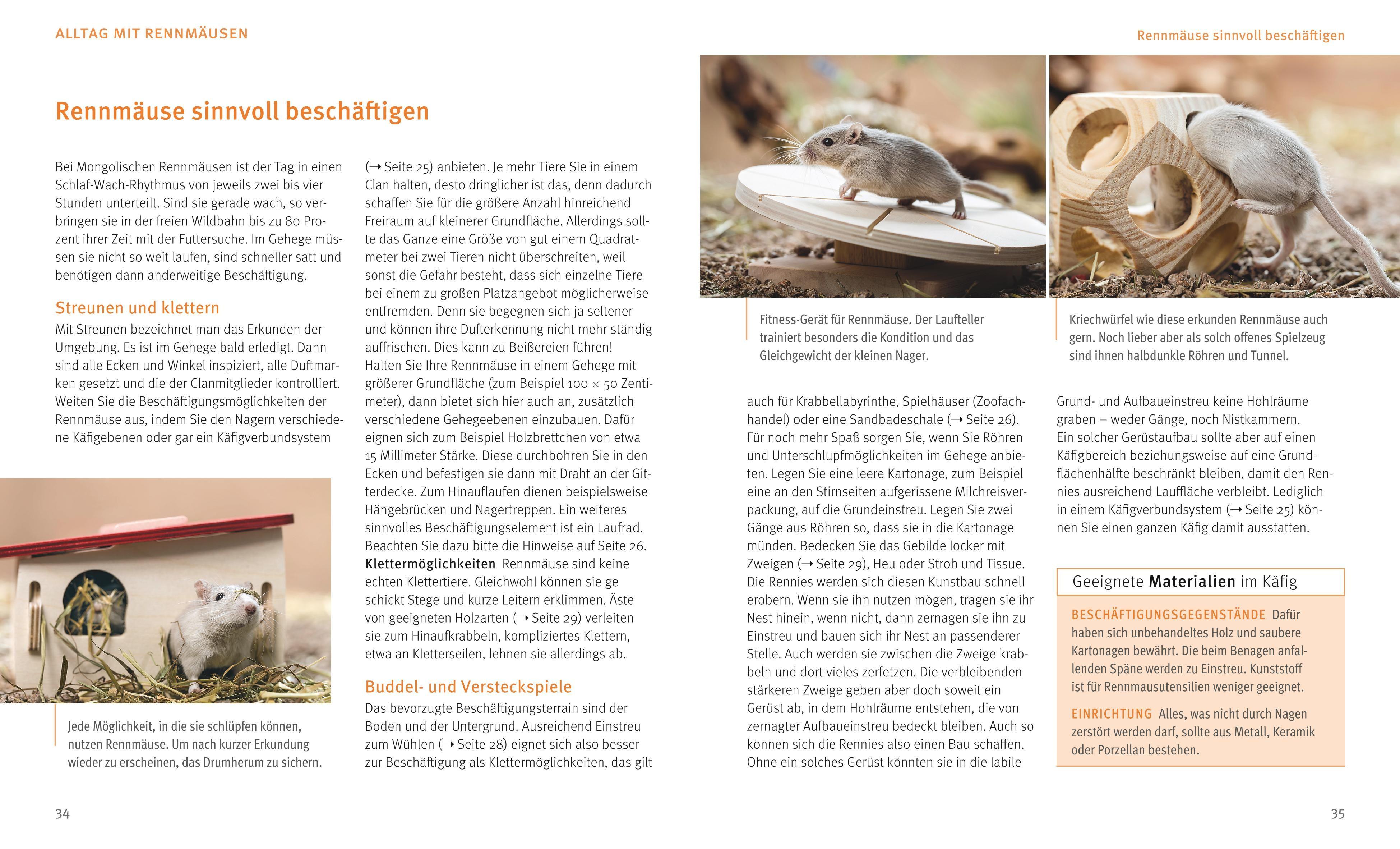 Beispielinhalt (Bild) Rennmäuse