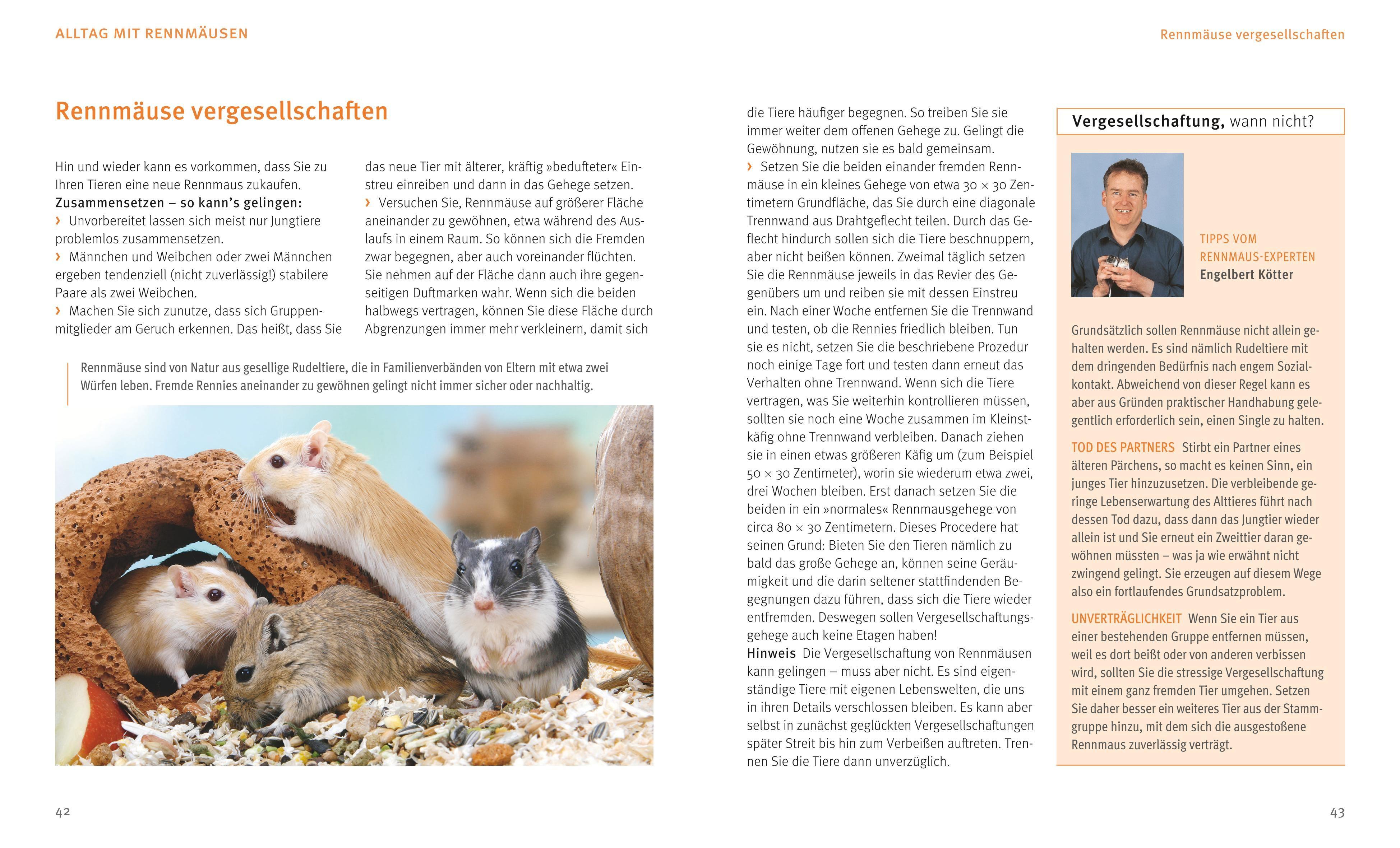 Beispielinhalt (Bild) Rennmäuse