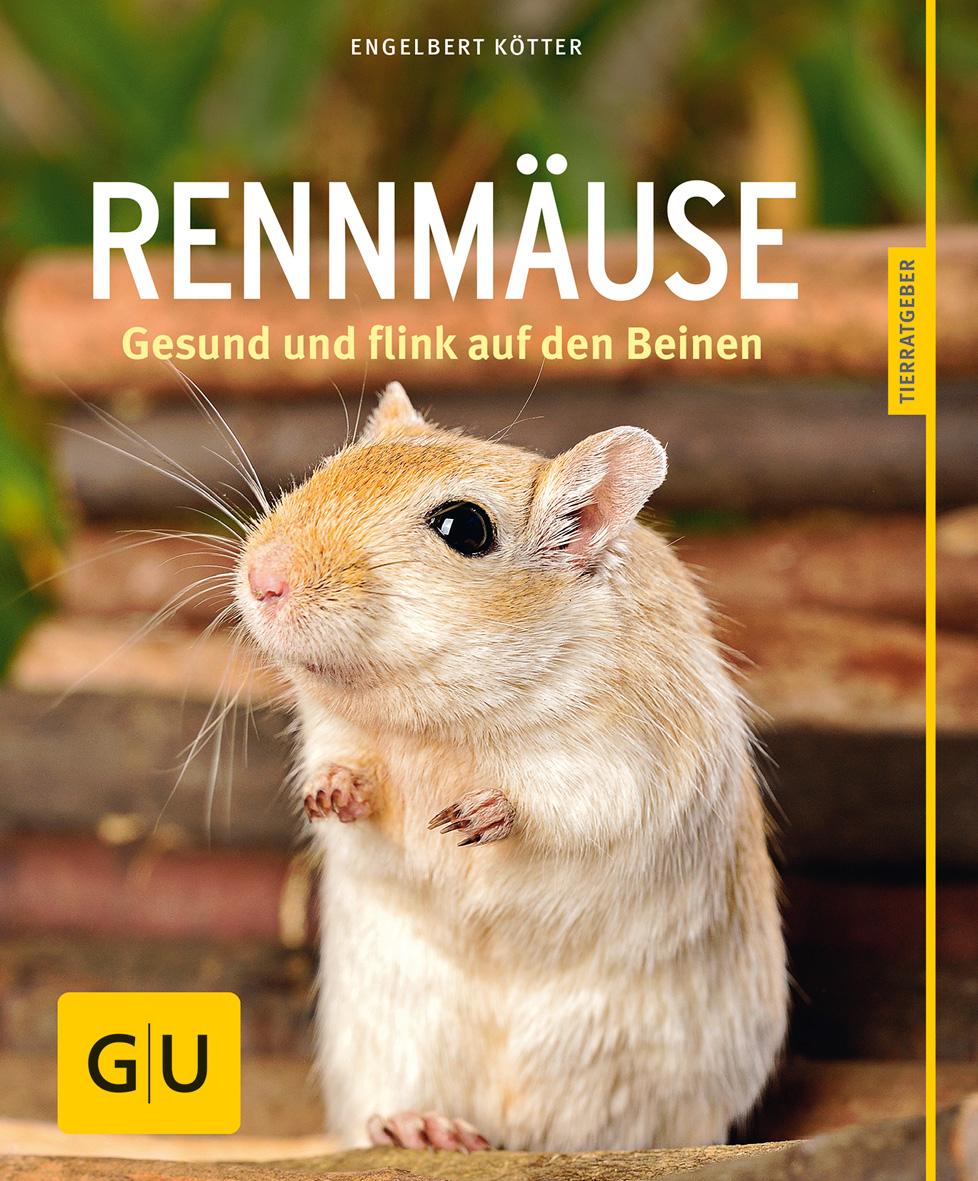 Vorderes Coverbild Rennmäuse