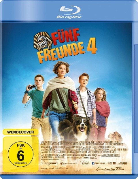 Vorderes Coverbild Fünf Freunde 4