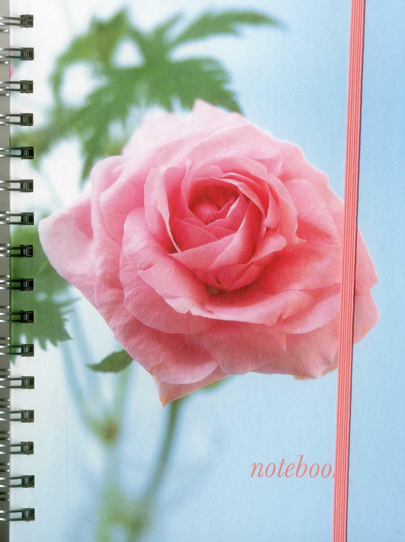 Vorderes Coverbild Notebook (Pink Rose)