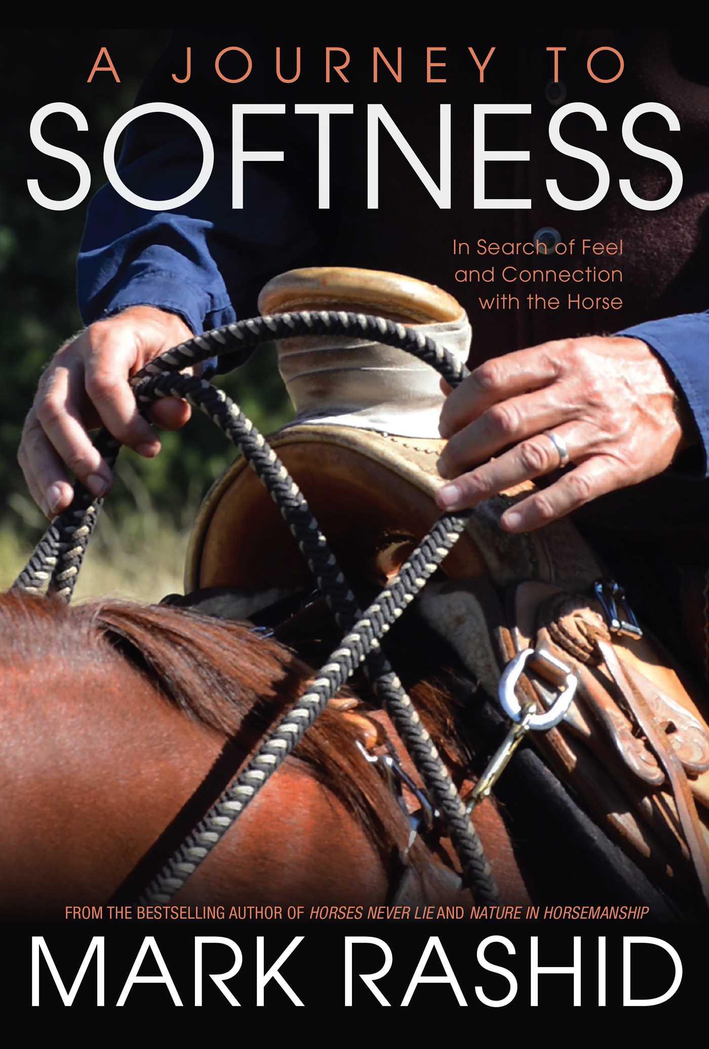 Vorderes Coverbild A Journey to Softness