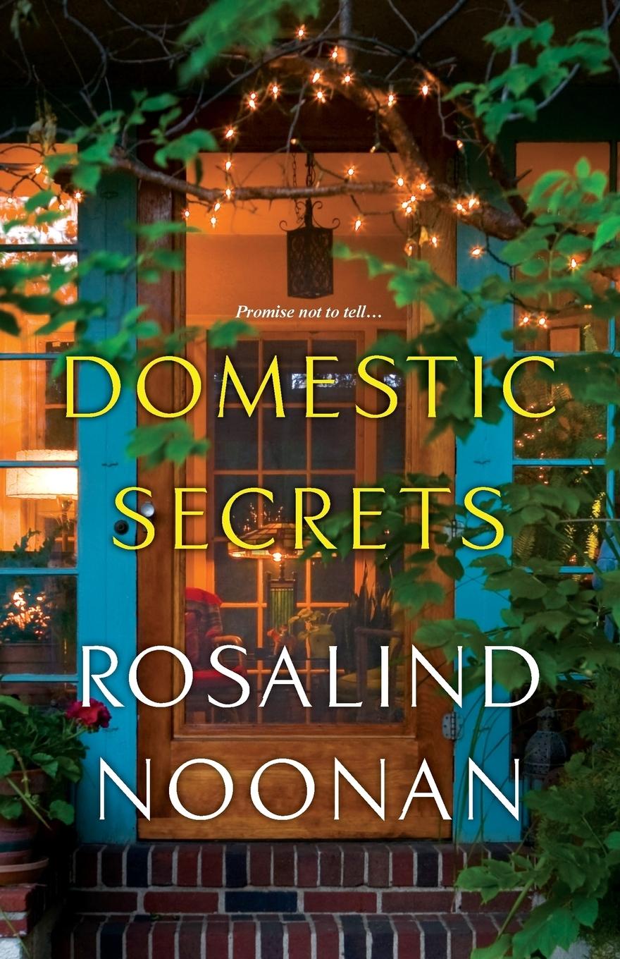 Vorderes Coverbild Domestic Secrets