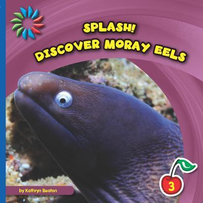 Vorderes Coverbild Discover Moray Eels