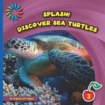 Vorderes Coverbild Discover Sea Turtles