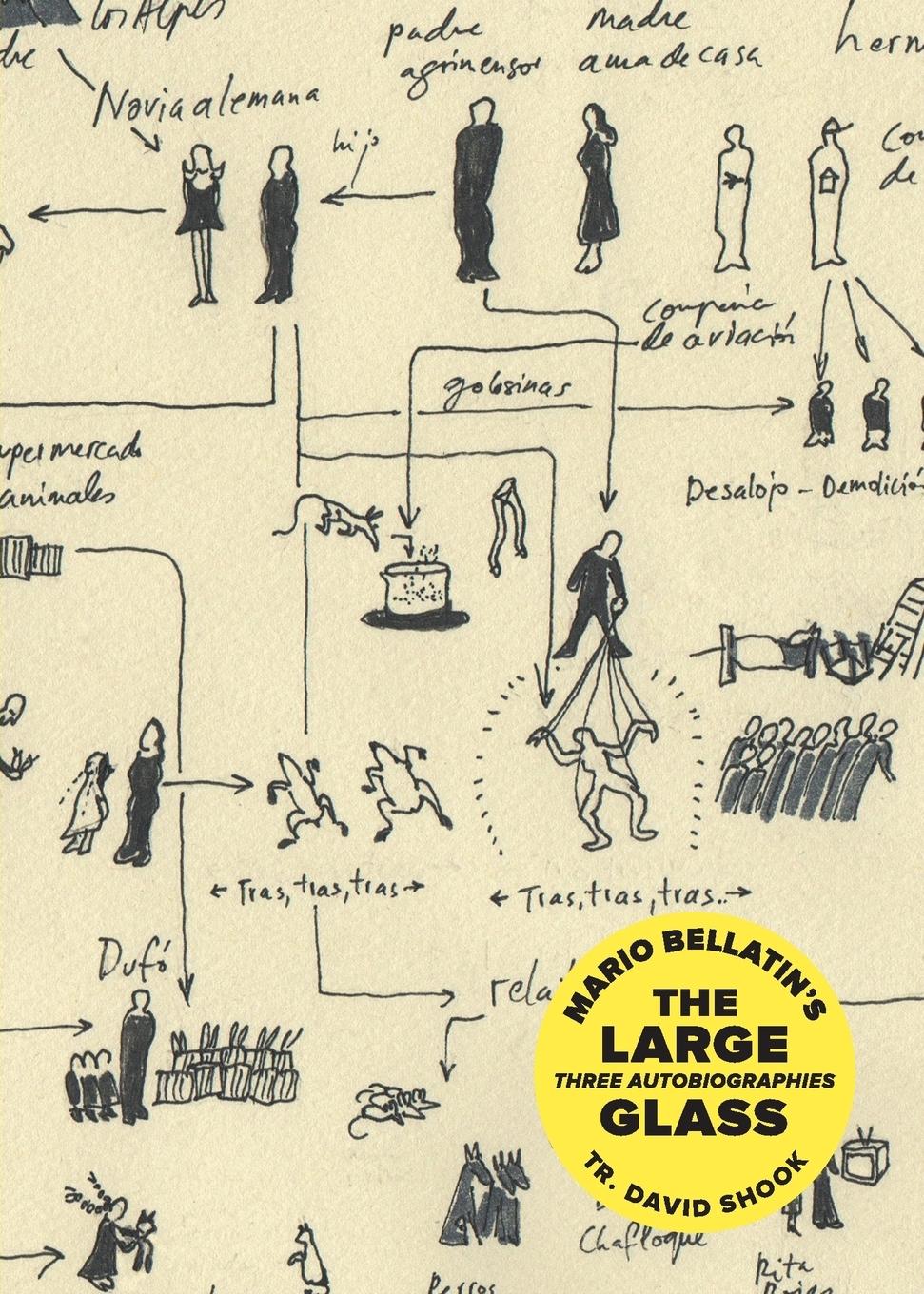 Vorderes Coverbild The Large Glass