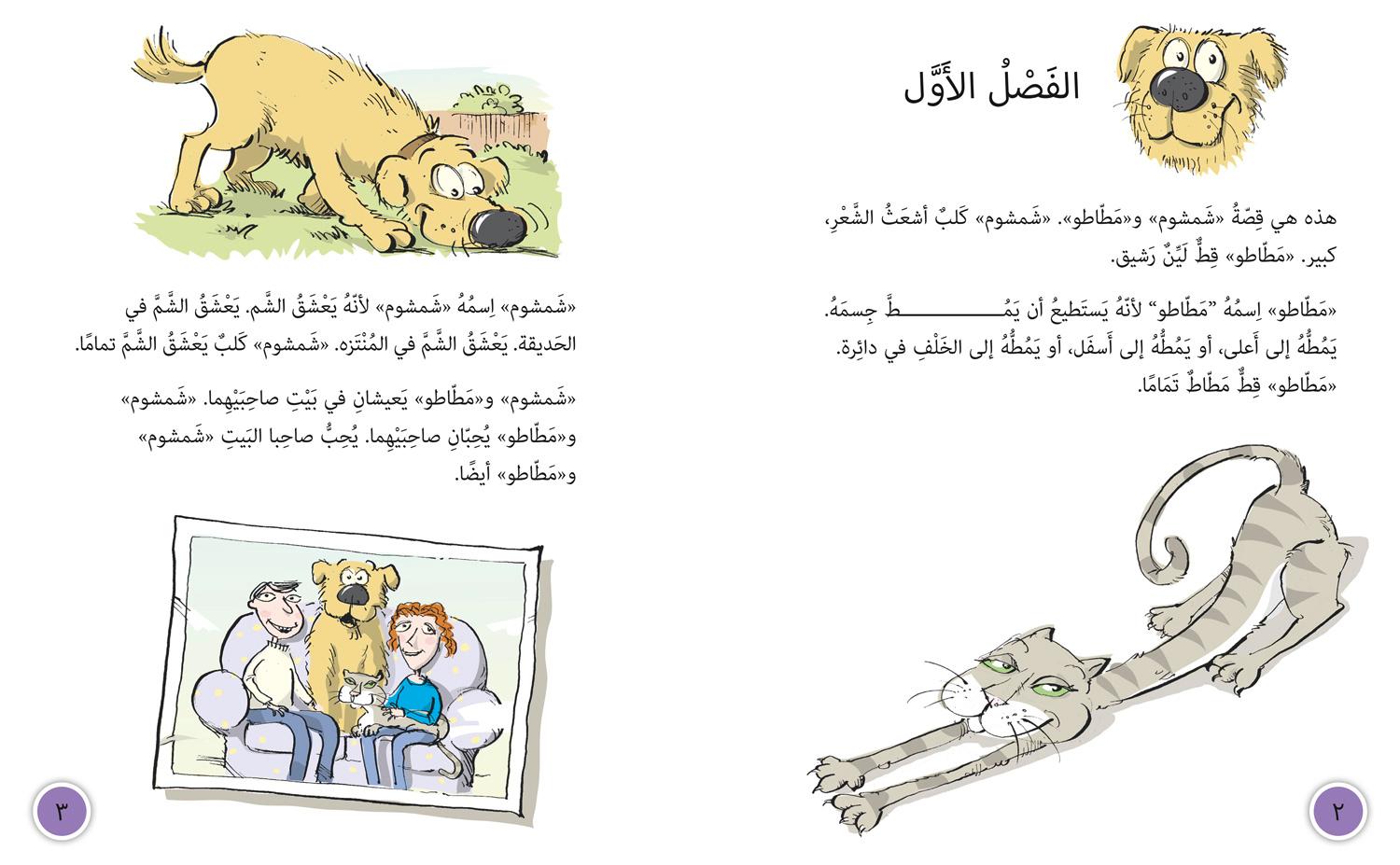 Beispielinhalt (Bild) Monster in the Mirror