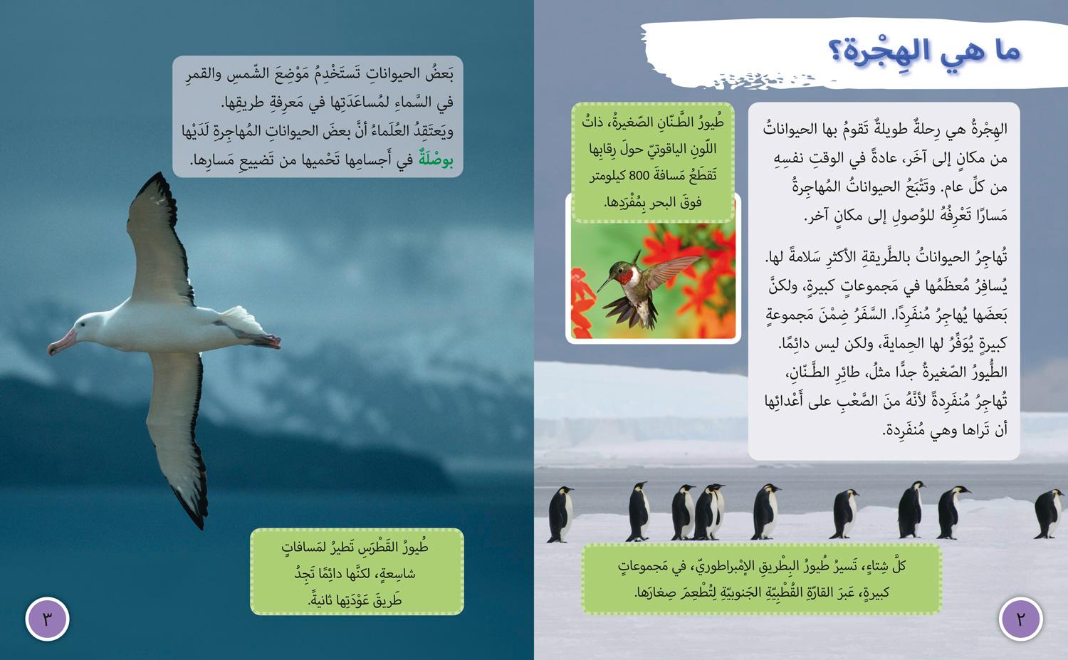 Beispielinhalt (Bild) Animal Migration