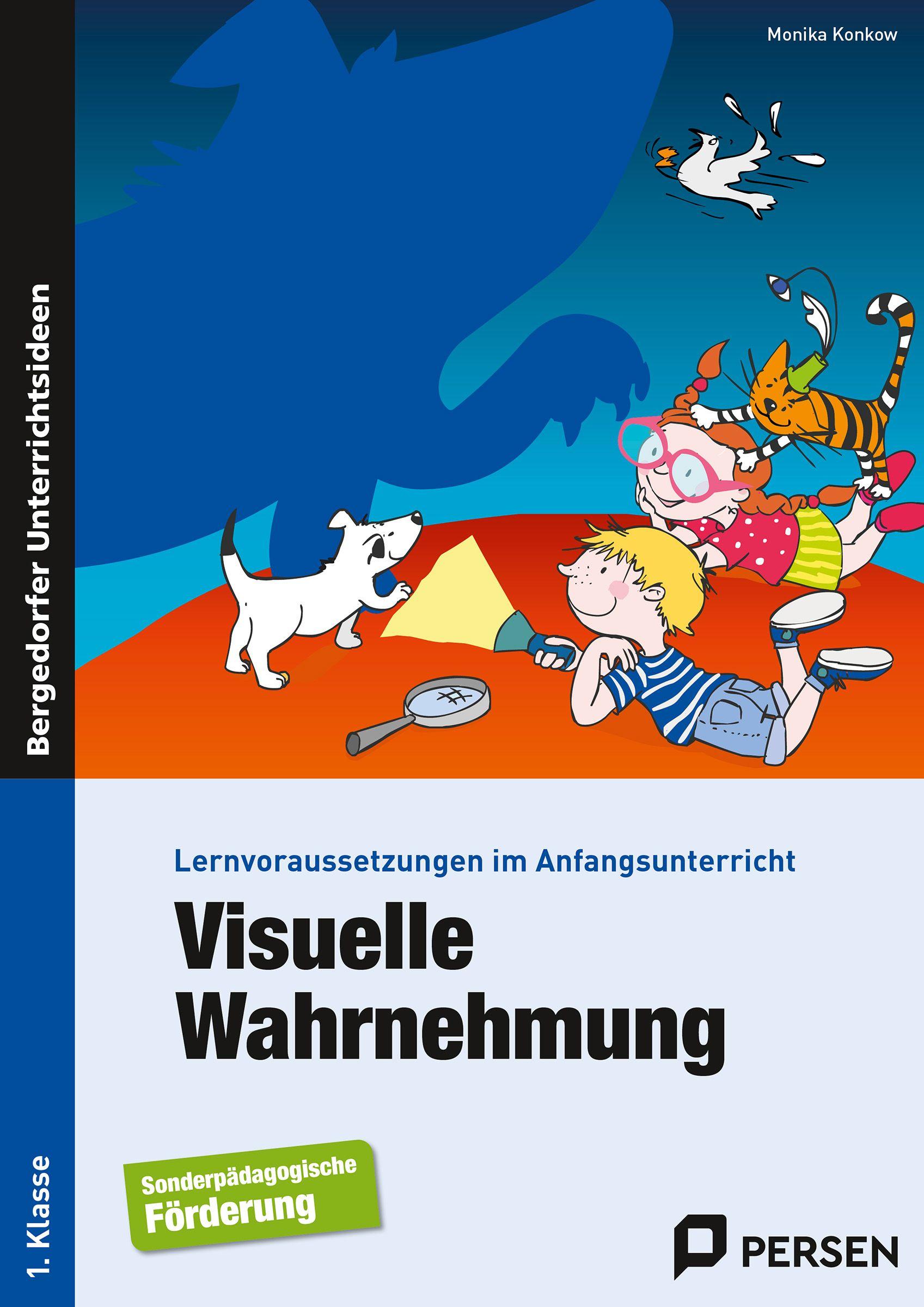 Vorderes Coverbild Visuelle Wahrnehmung