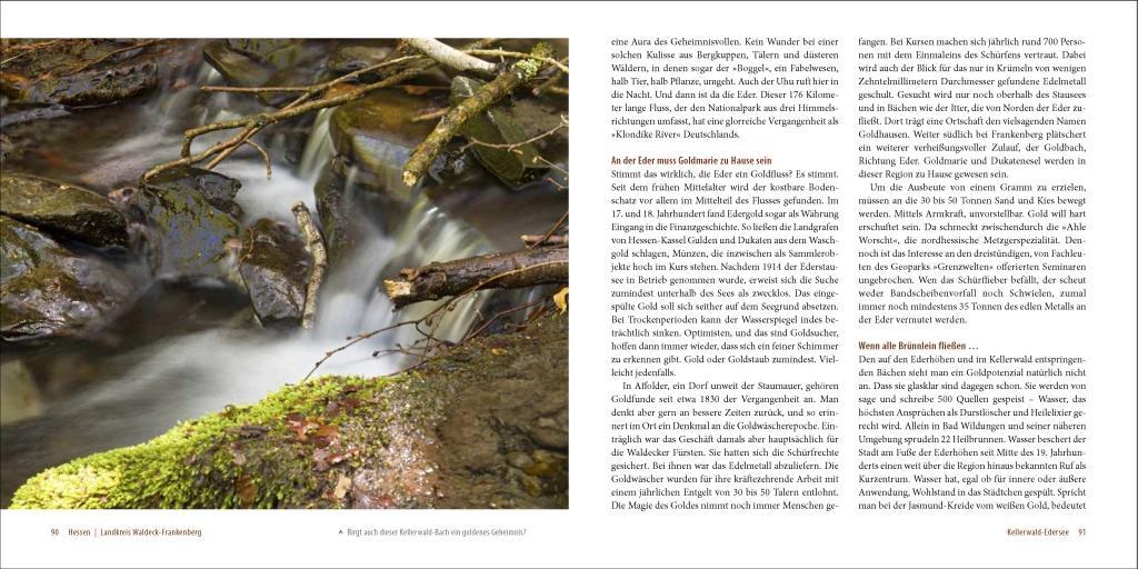 Beispielinhalt (Bild) Deutschlands alte Buchenwälder