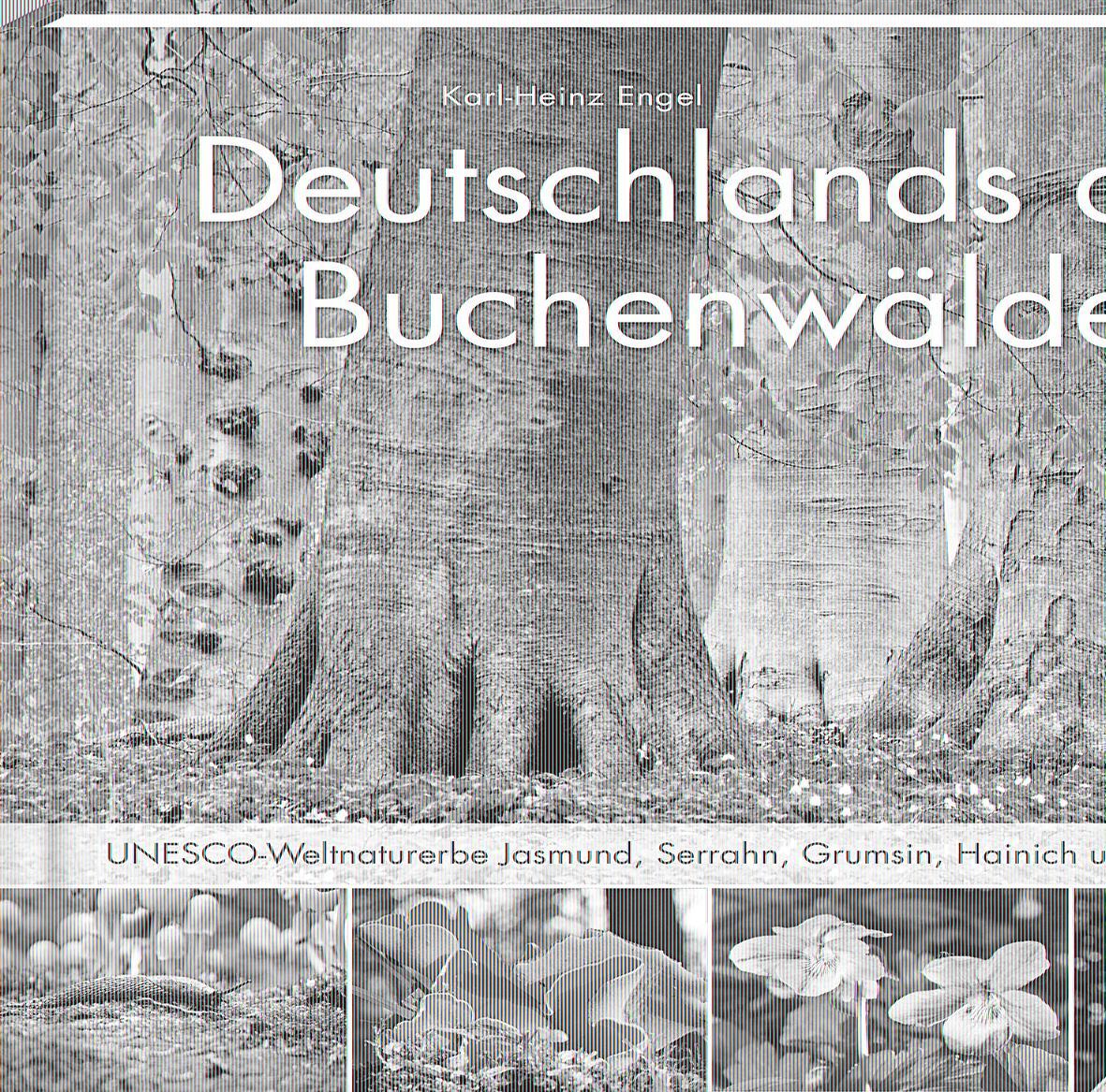 Vorderes Coverbild Deutschlands alte Buchenwälder