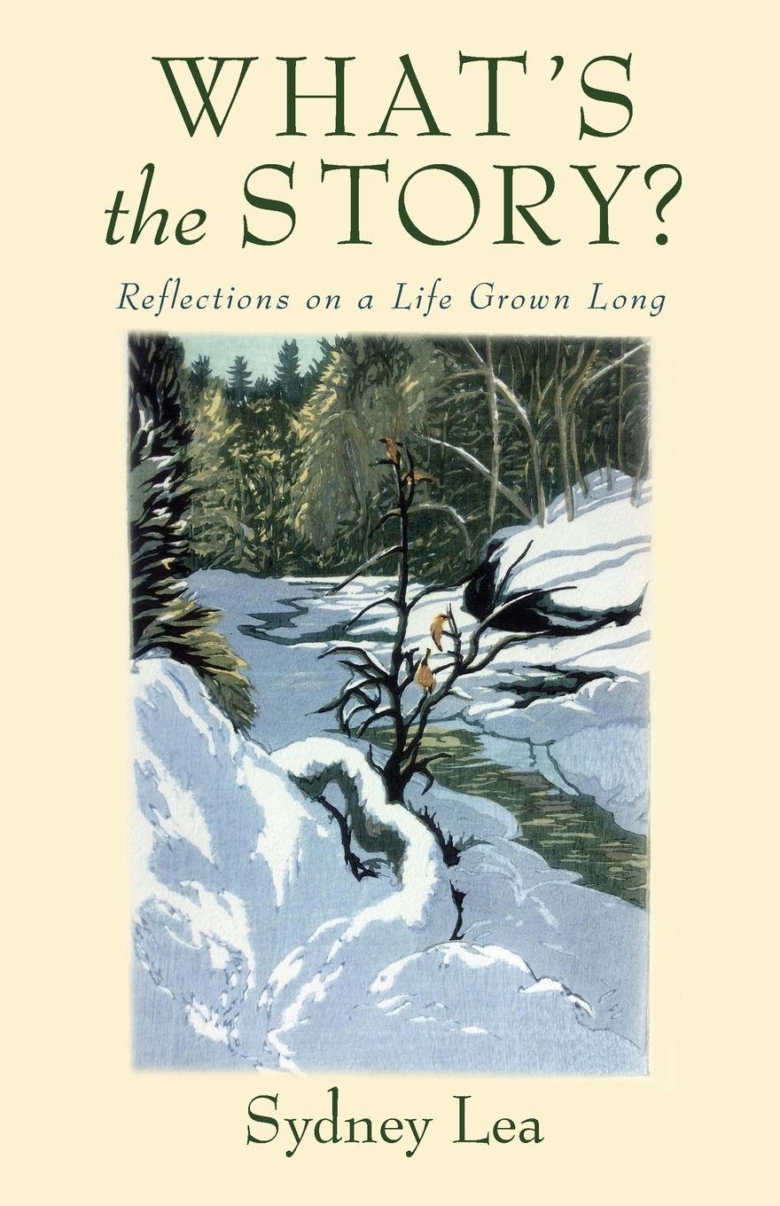 Vorderes Coverbild What's the Story?