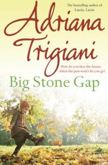 Vorderes Coverbild Big Stone Gap