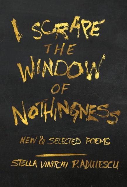 Vorderes Coverbild I Scrape the Window of Nothingness