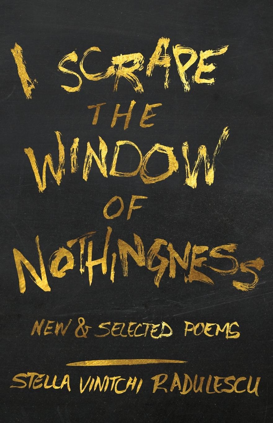 Vorderes Coverbild I Scrape the Window of Nothingness