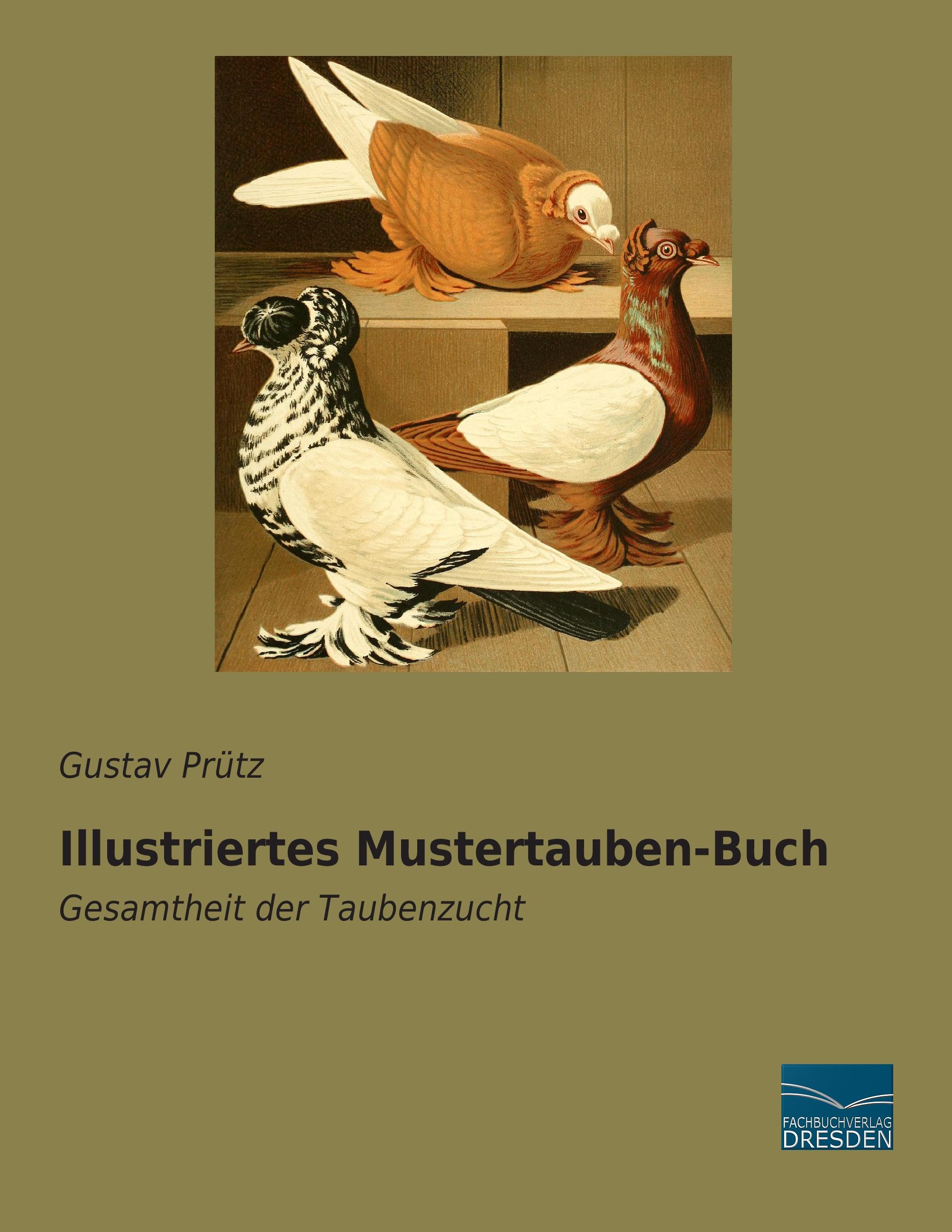Vorderes Coverbild Illustriertes Mustertauben-Buch