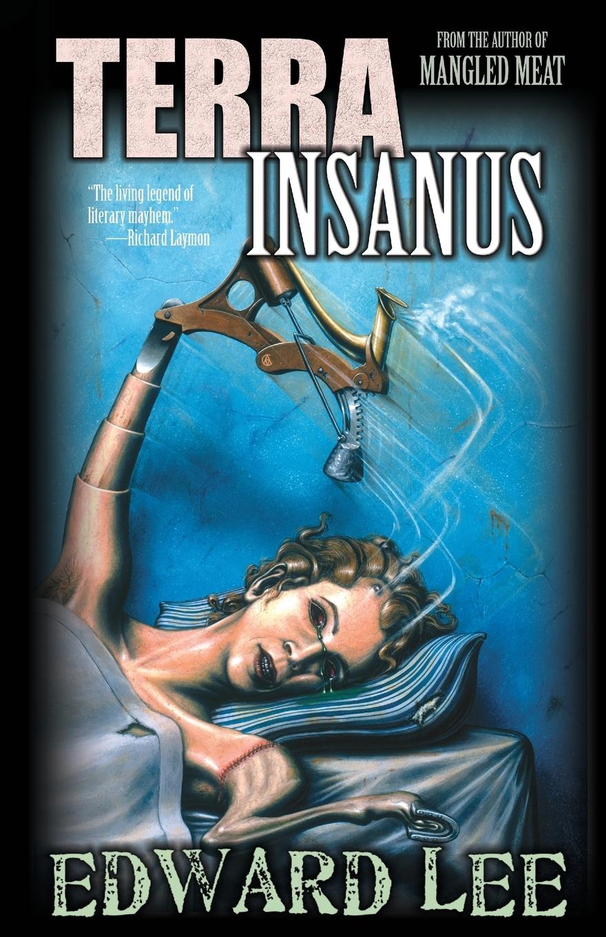Vorderes Coverbild Terra Insanus