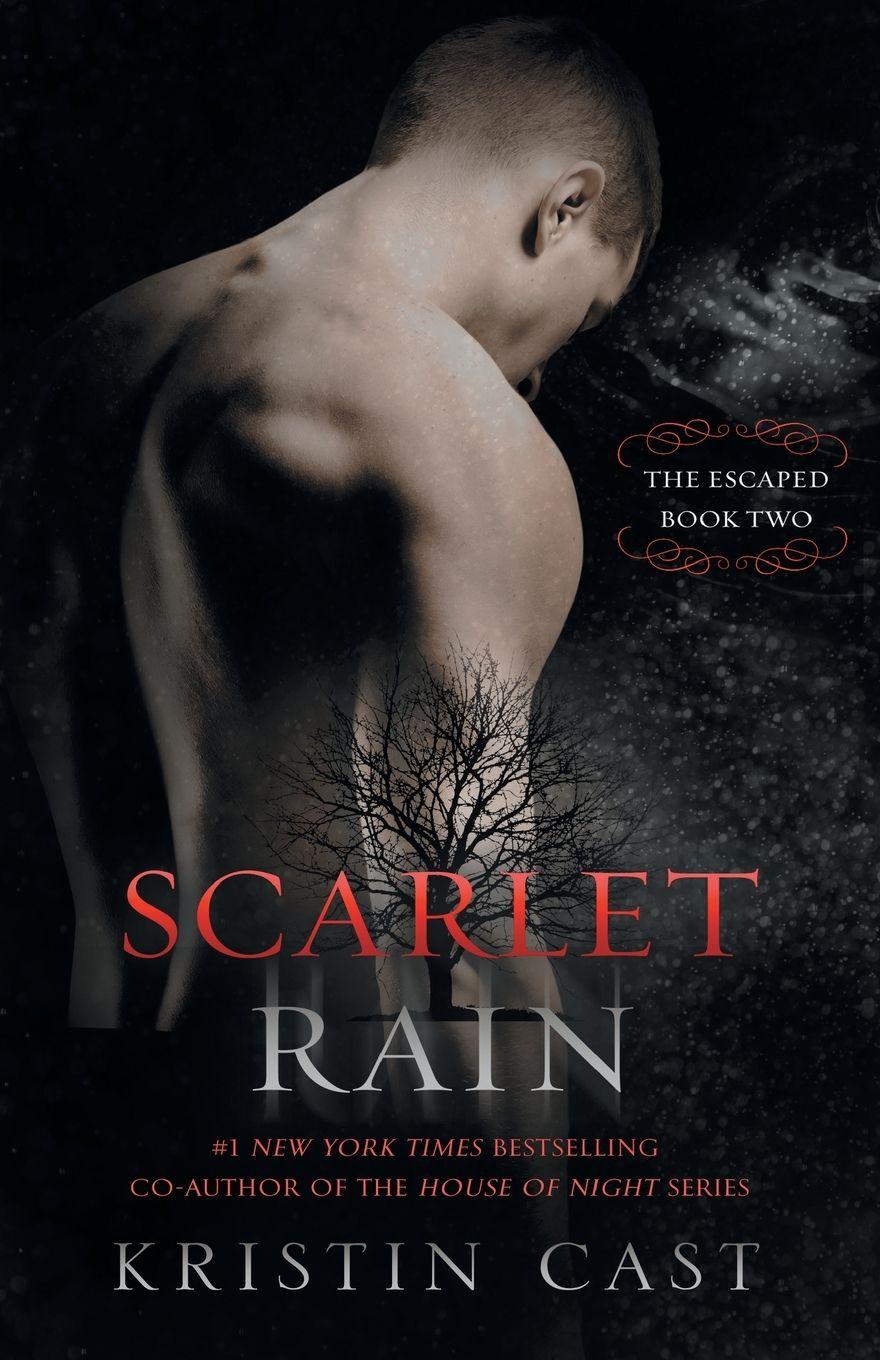 Vorderes Coverbild Scarlet Rain