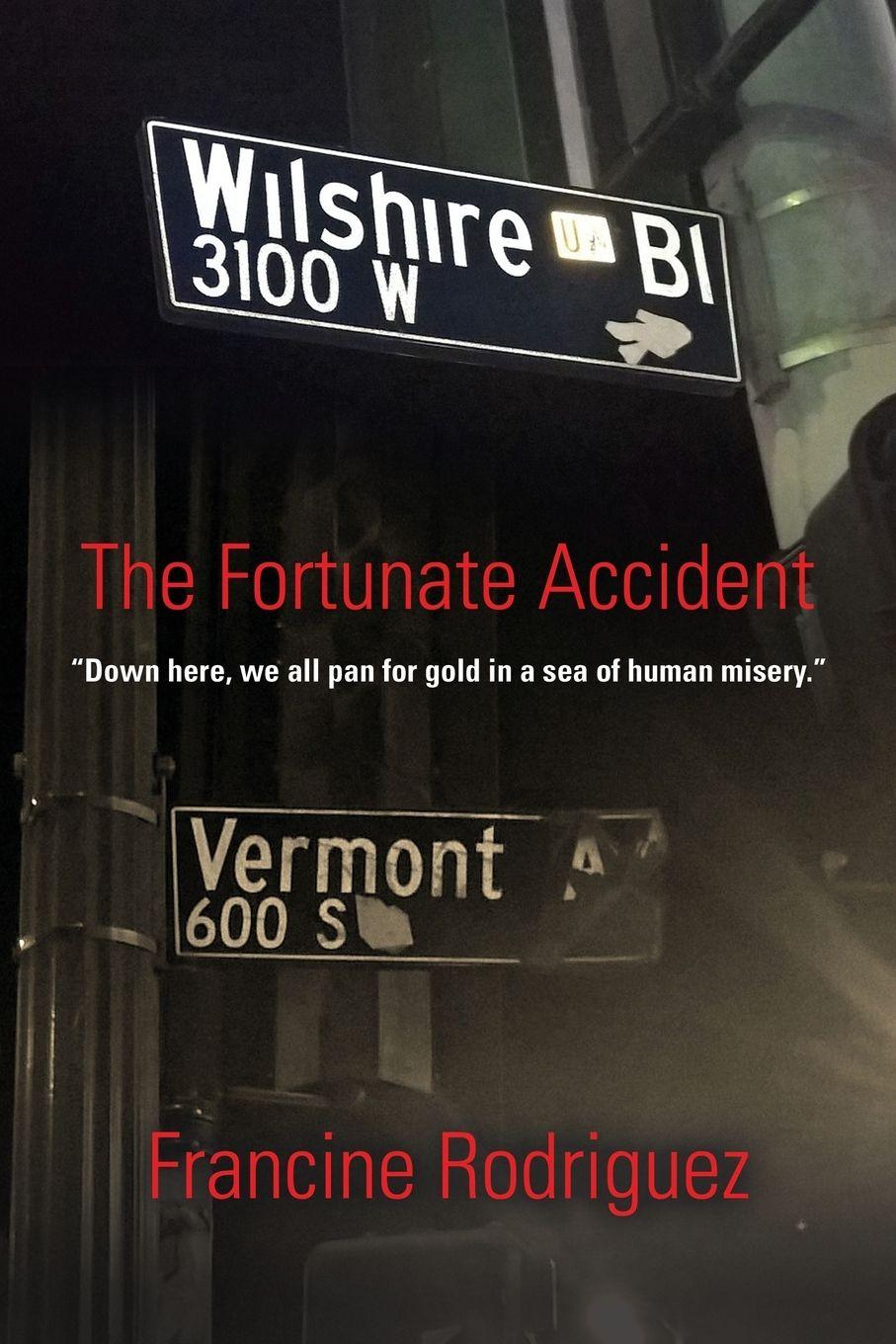 Vorderes Coverbild The Fortunate Accident