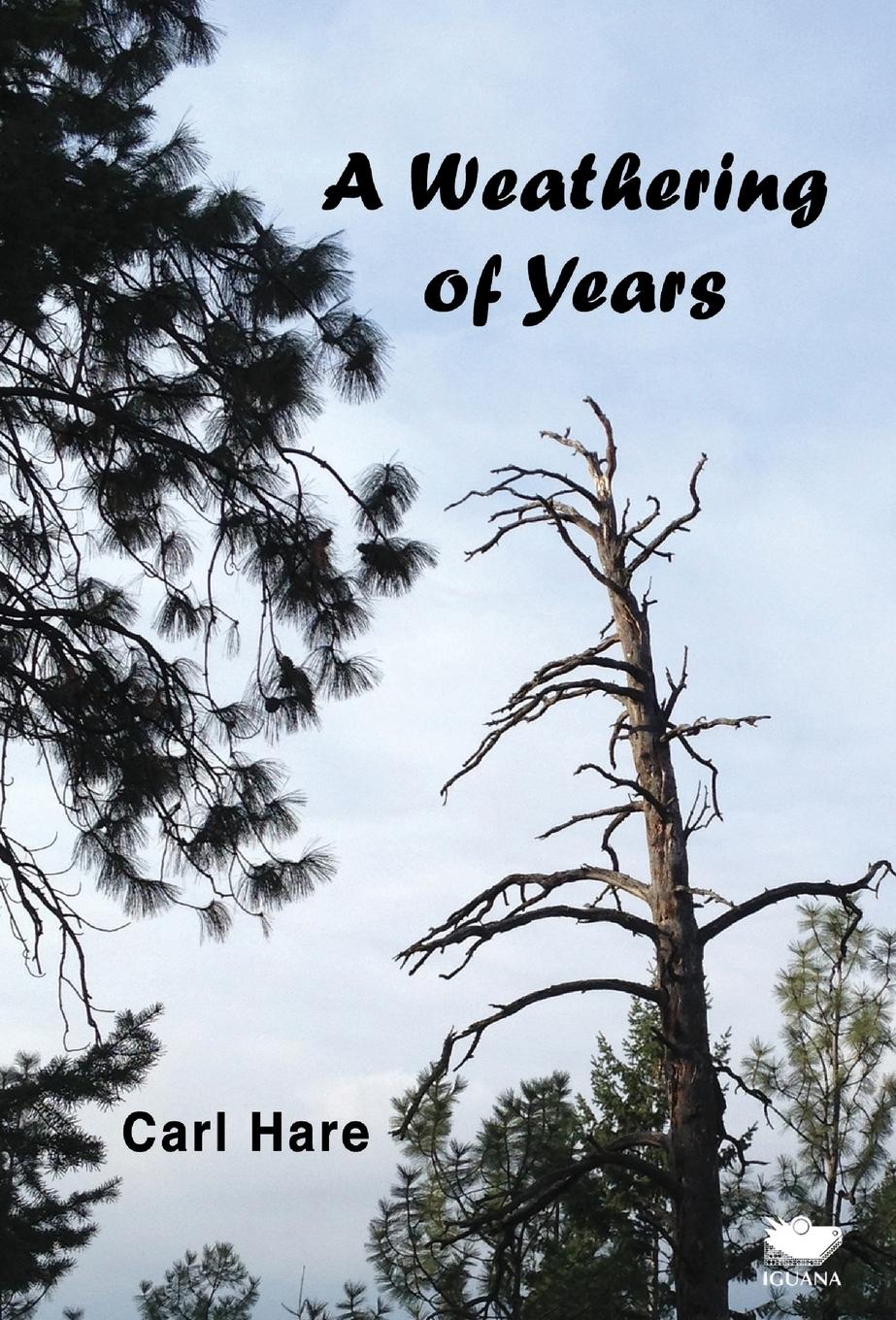 Vorderes Coverbild A Weathering of Years