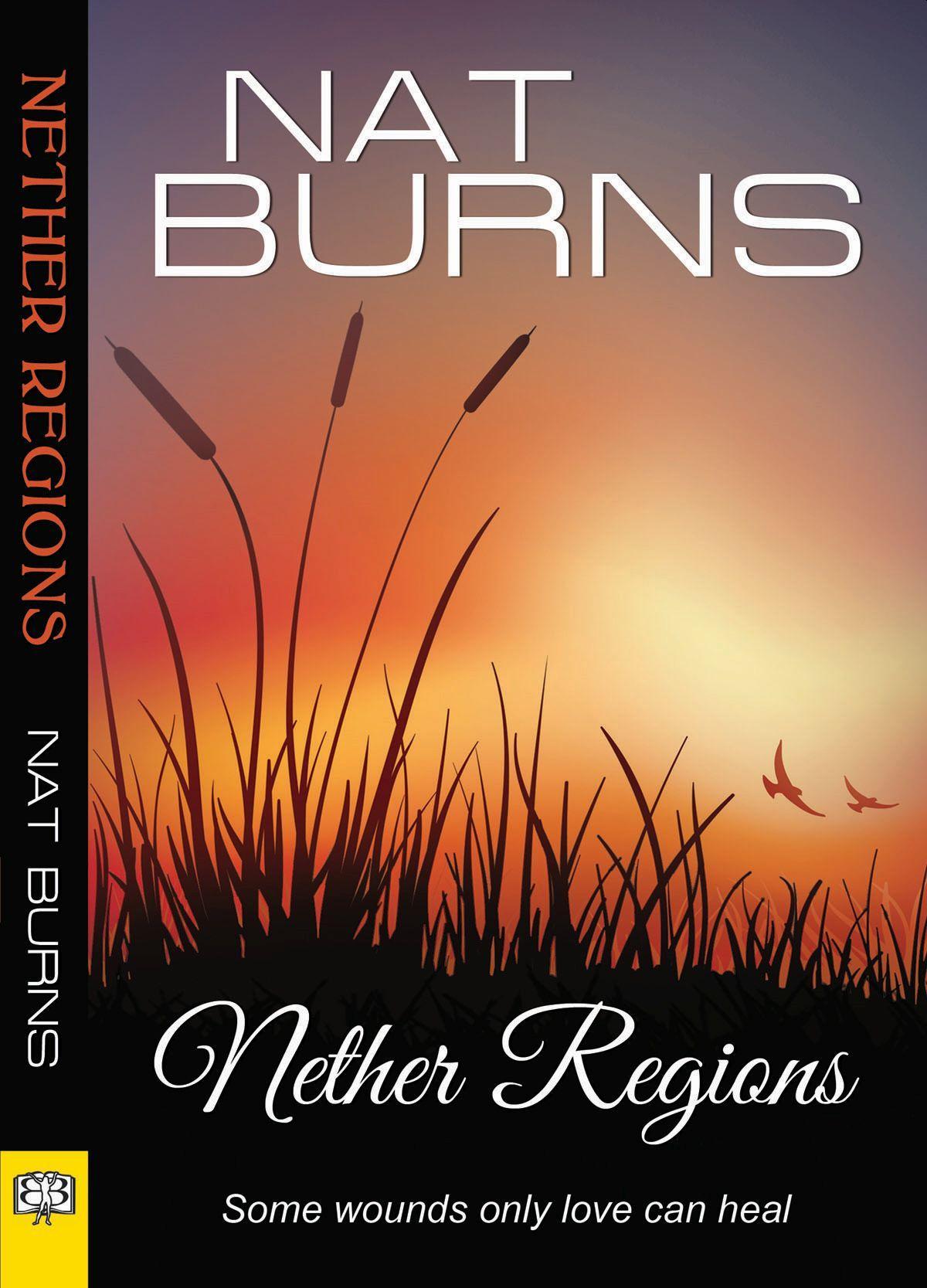 Vorderes Coverbild Nether Regions