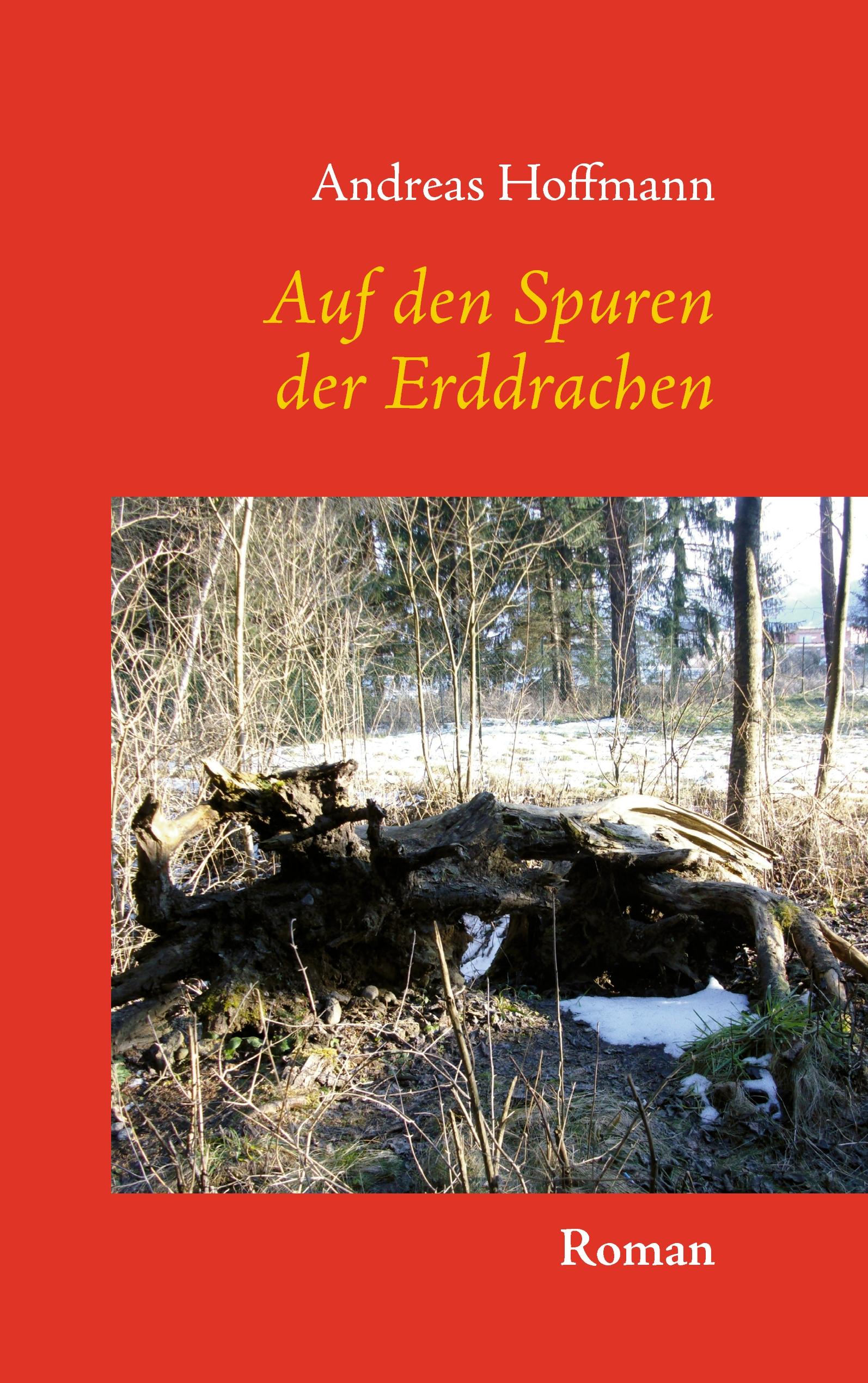 Vorderes Coverbild Auf den Spuren der Erddrachen