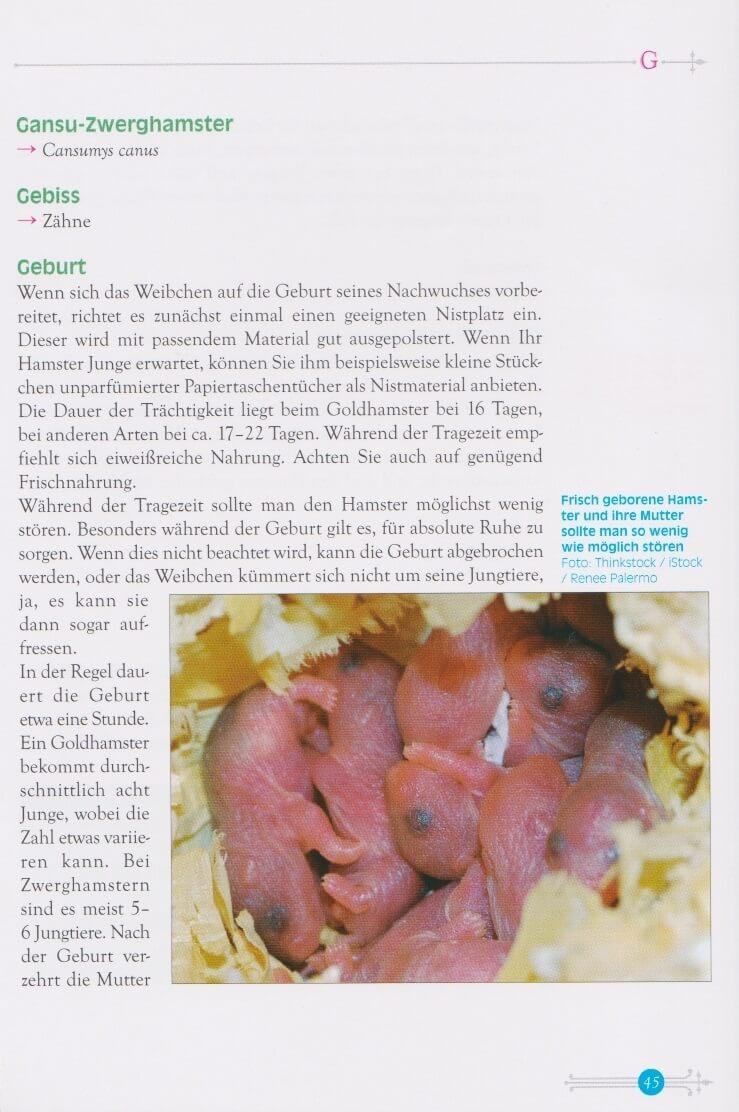 Beispielinhalt (Bild) Das kleine Hamsterlexikon