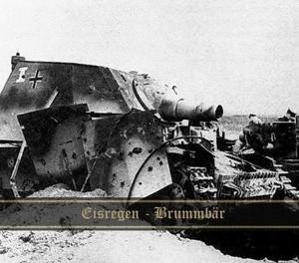 Vorderes Coverbild Brummbär EP