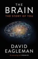 Vorderes Coverbild The Brain