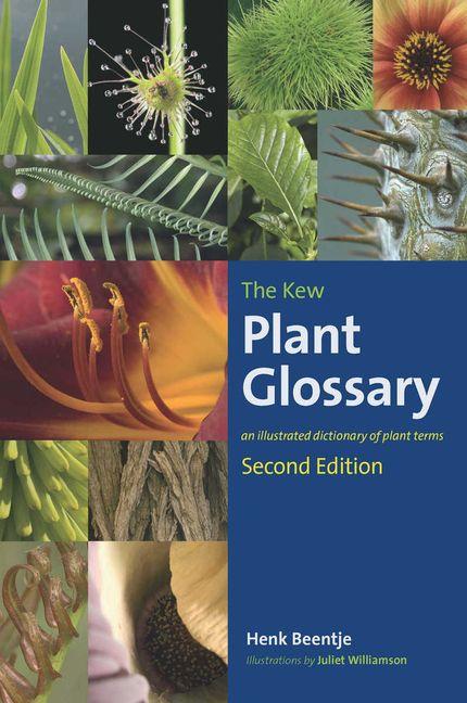 Vorderes Coverbild Kew Plant Glossary, The