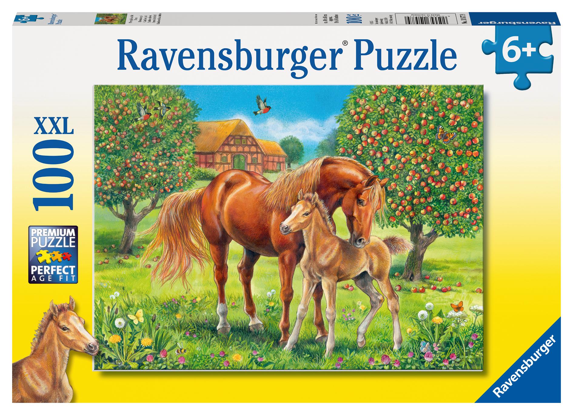 Vorderes Coverbild Pferdeglück auf Wiese Puzzle 100 Teile