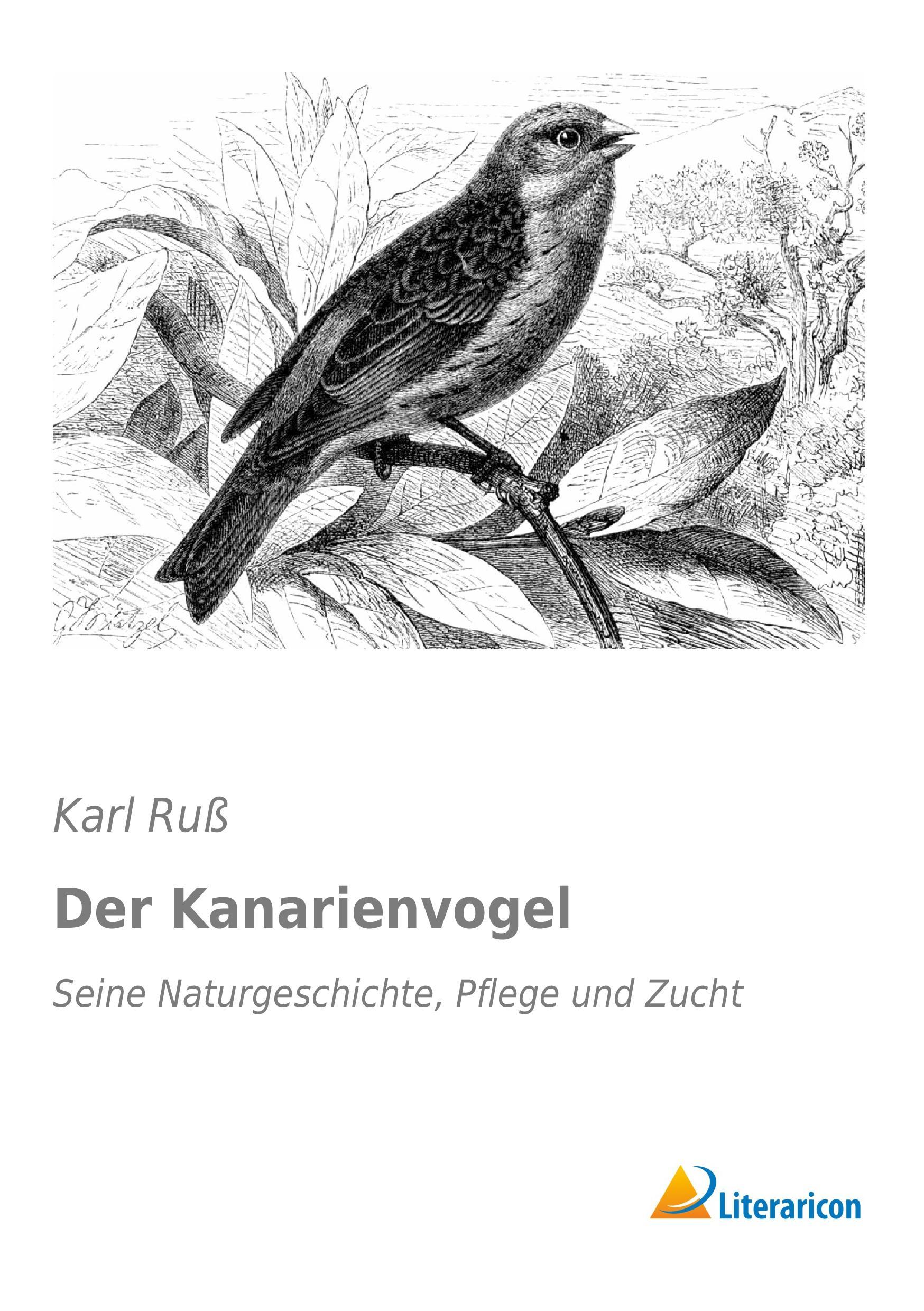 Vorderes Coverbild Der Kanarienvogel