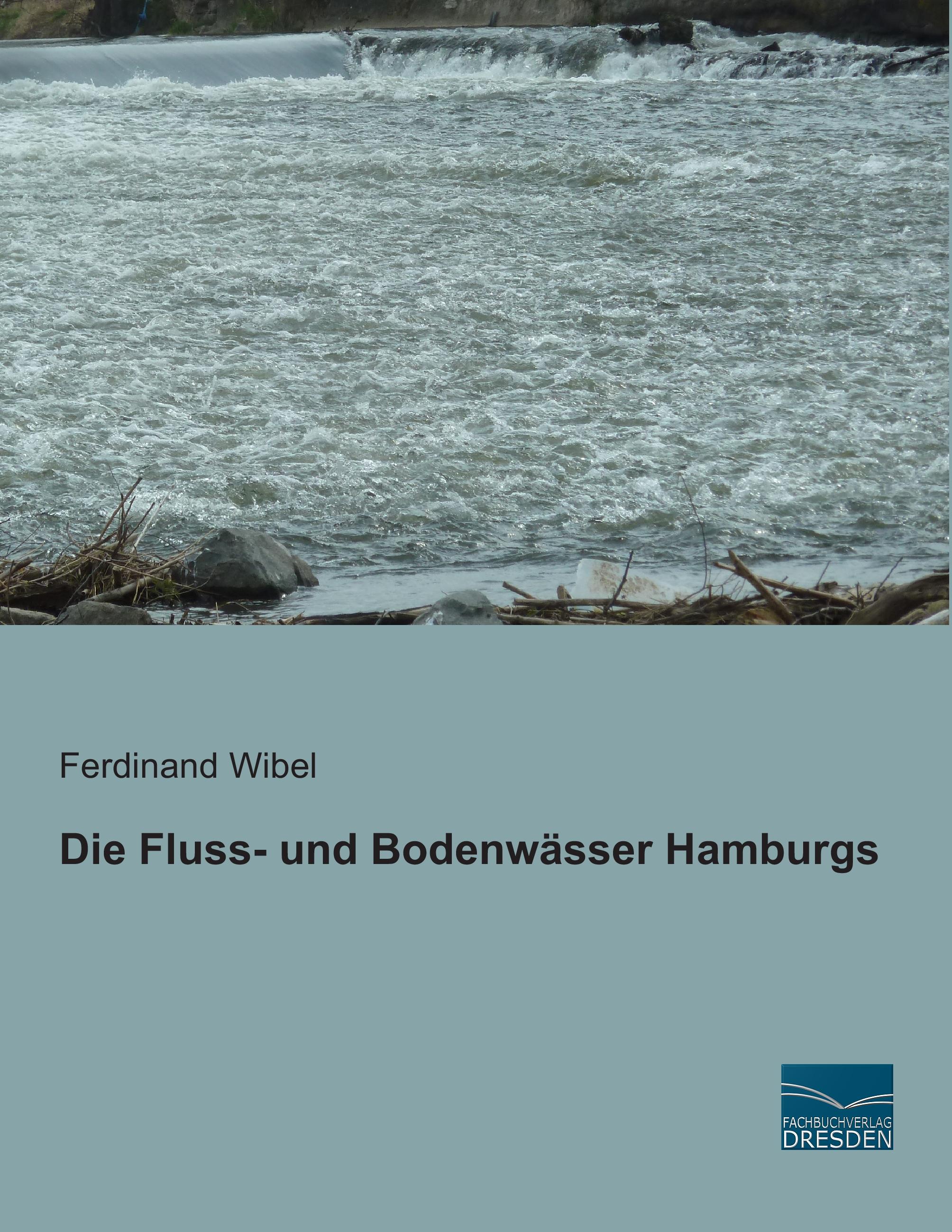 Vorderes Coverbild Die Fluss- und Bodenwässer Hamburgs