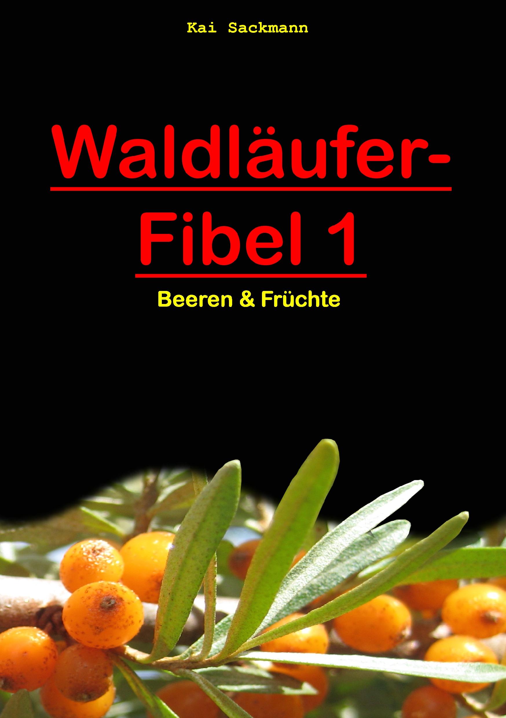 Vorderes Coverbild Waldläufer-Fibel 1