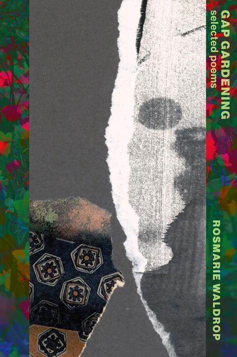Vorderes Coverbild Gap Gardening