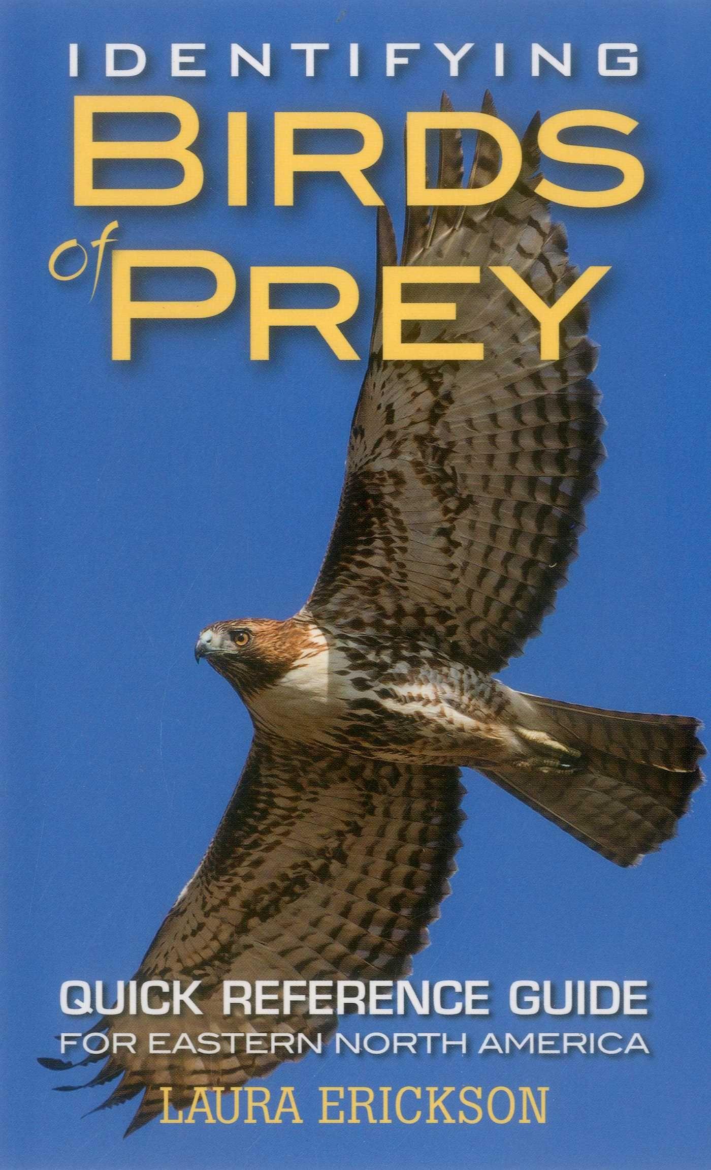 Vorderes Coverbild Identifying Birds of Prey