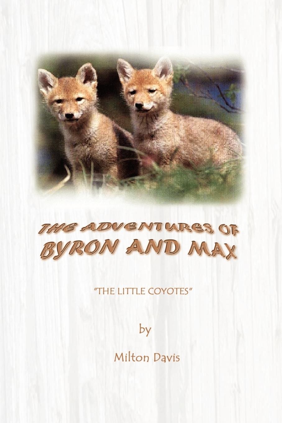 Vorderes Coverbild The Adventures of Byron and Max