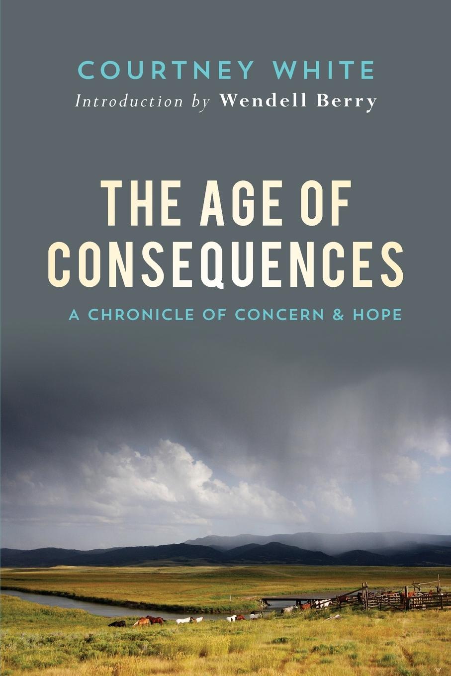 Vorderes Coverbild The Age of Consequences